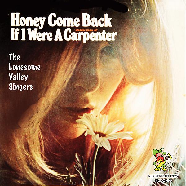 Постер альбома Honey Come Back - If I Were A Carpenter