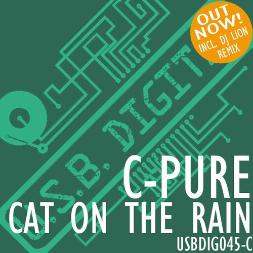 Постер альбома Cat On The Rain