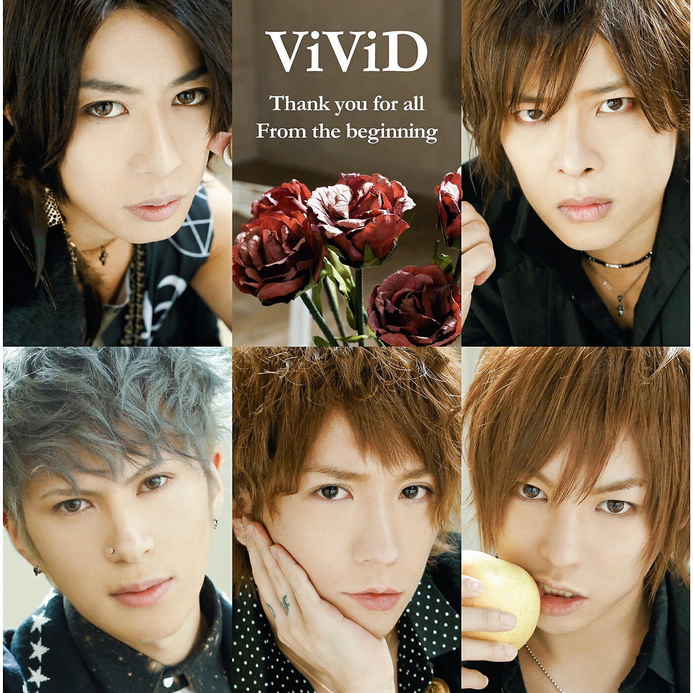VIVID - Neutral