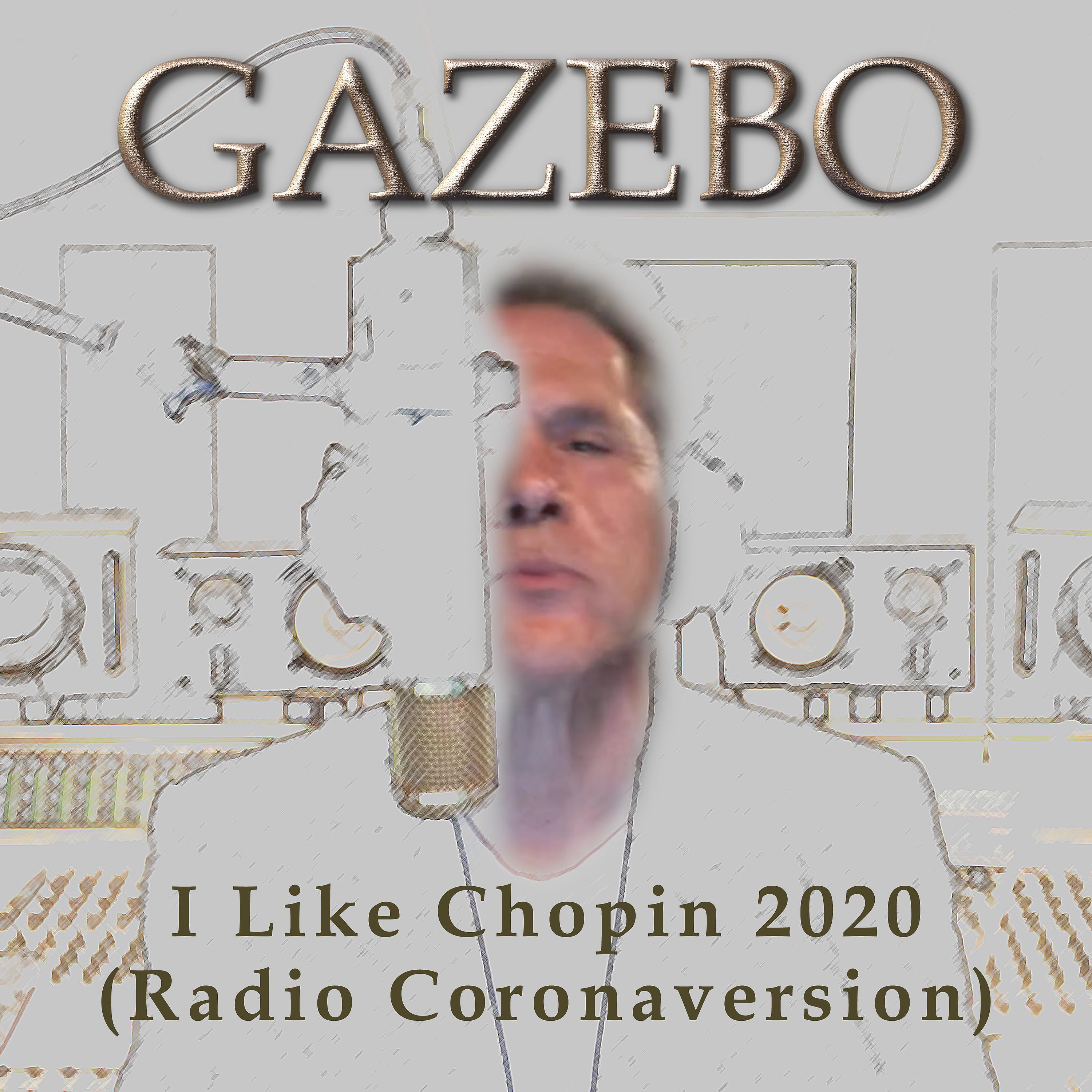 Постер альбома I Like Chopin 2020 (Radio Coronaversion)