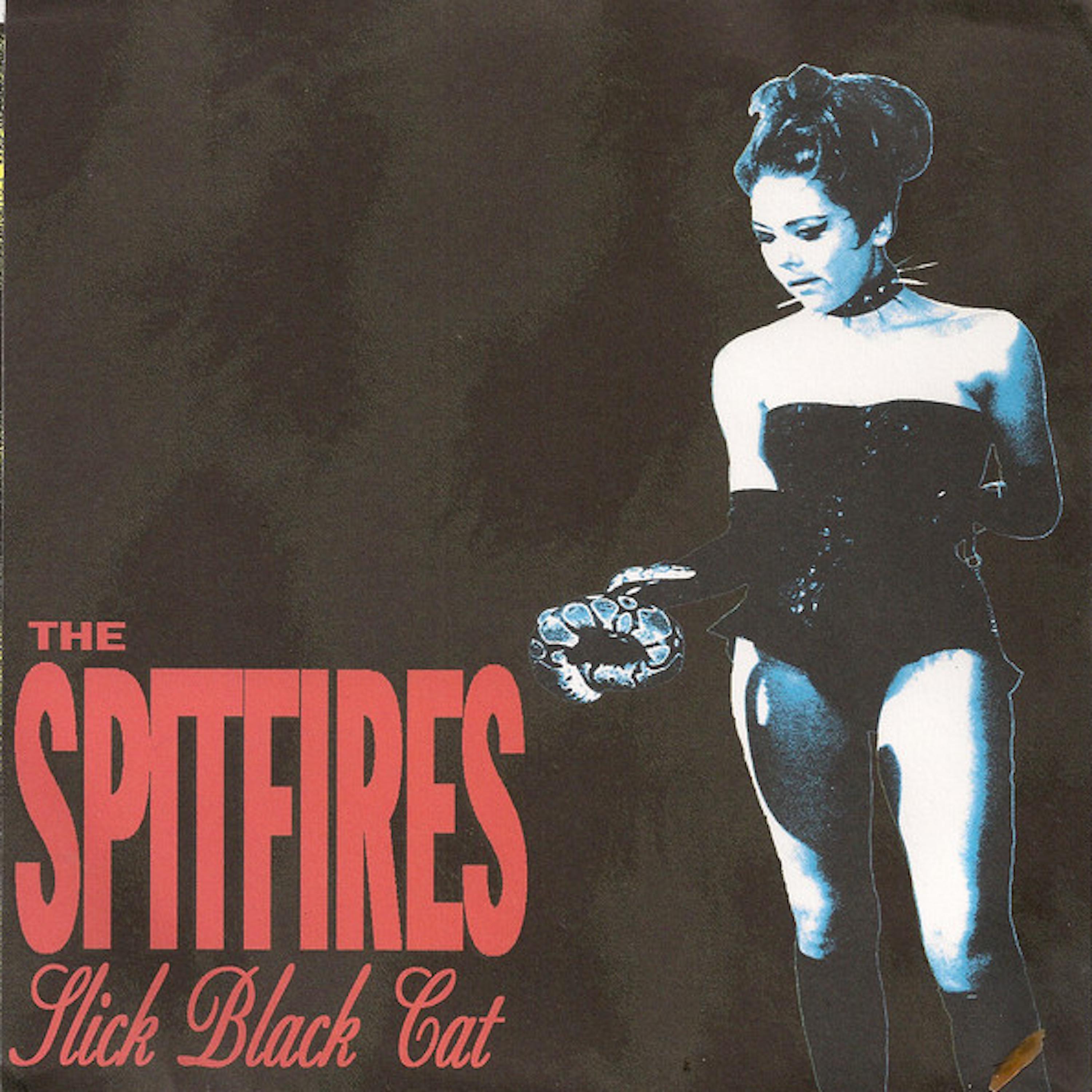 Постер альбома Slick Black Cat EP