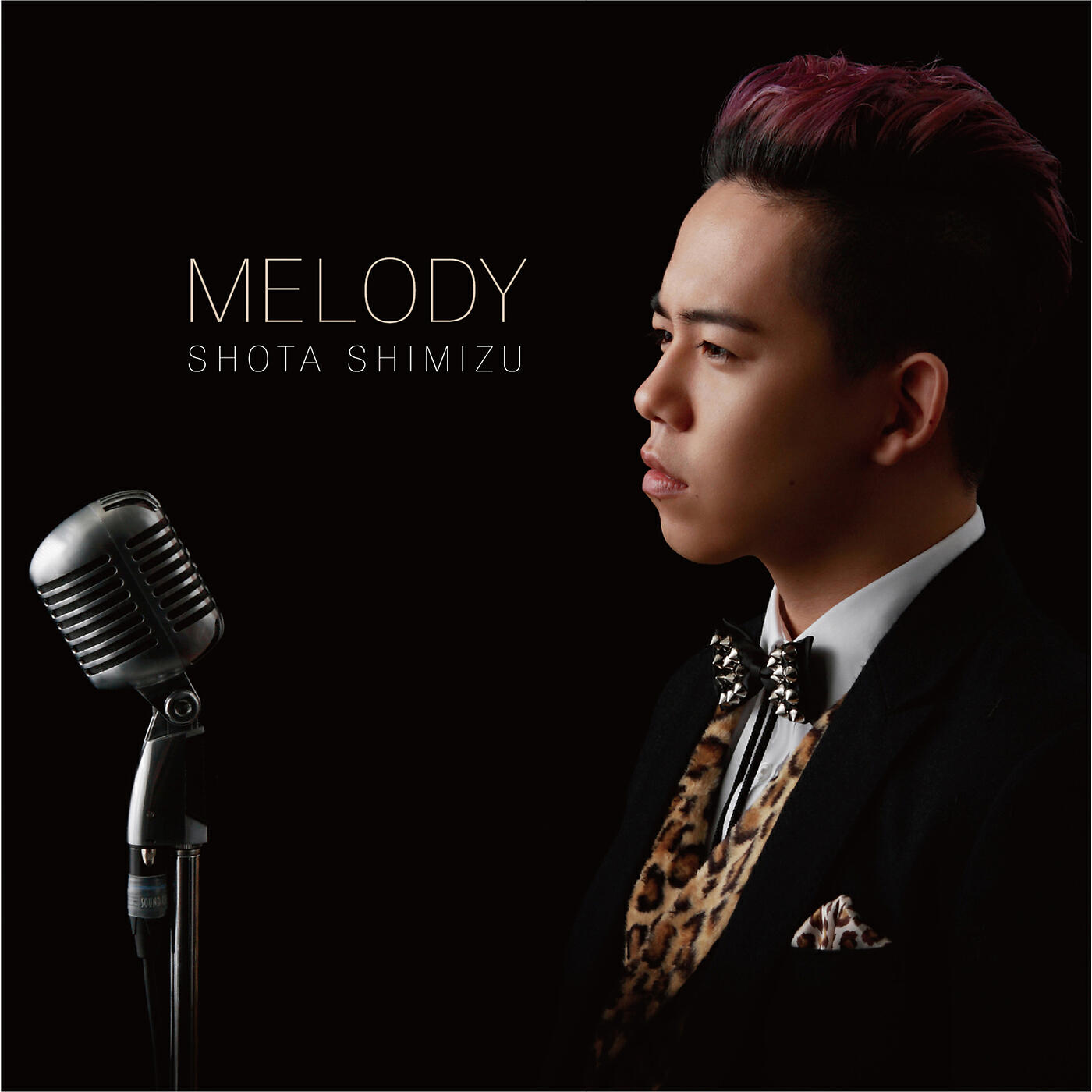 Shota Shimizu - 366nichi