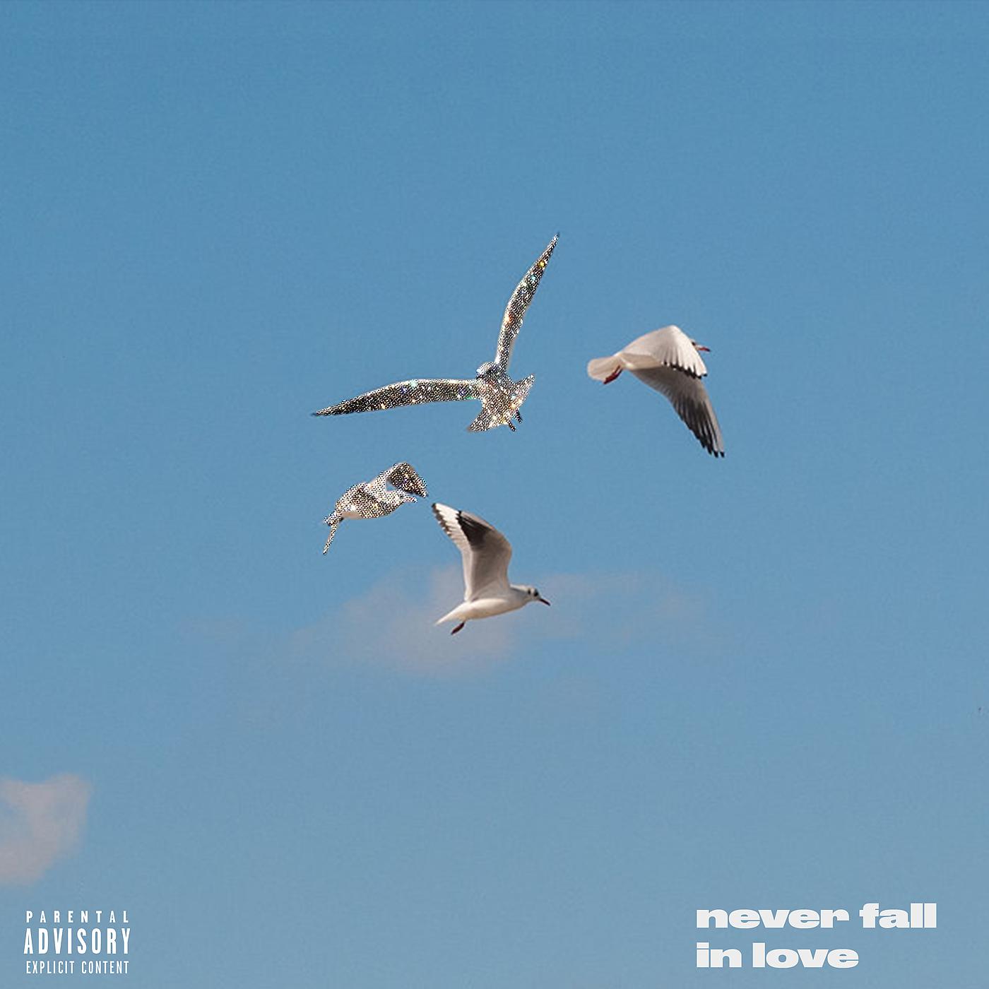 Постер альбома Never Fall In Love