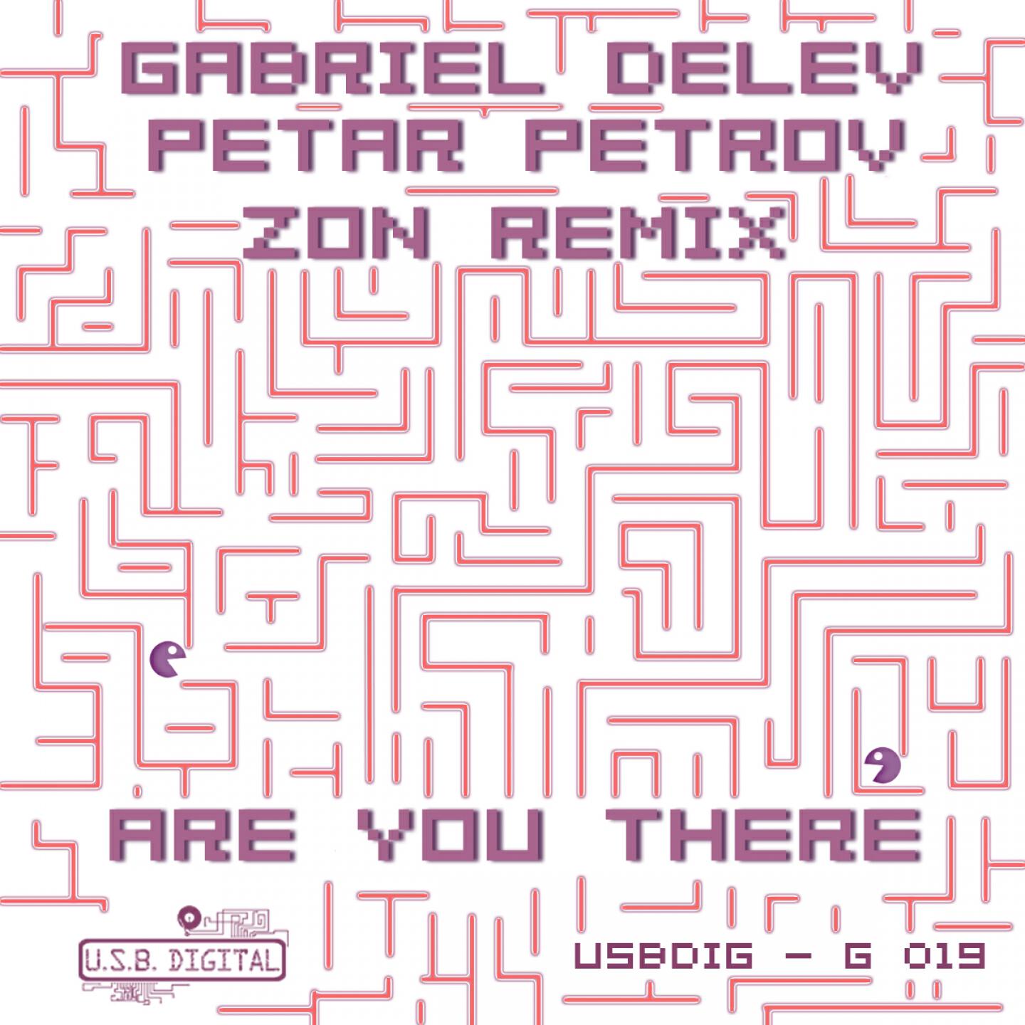 Gabriel Delev - Are You There? (Original)