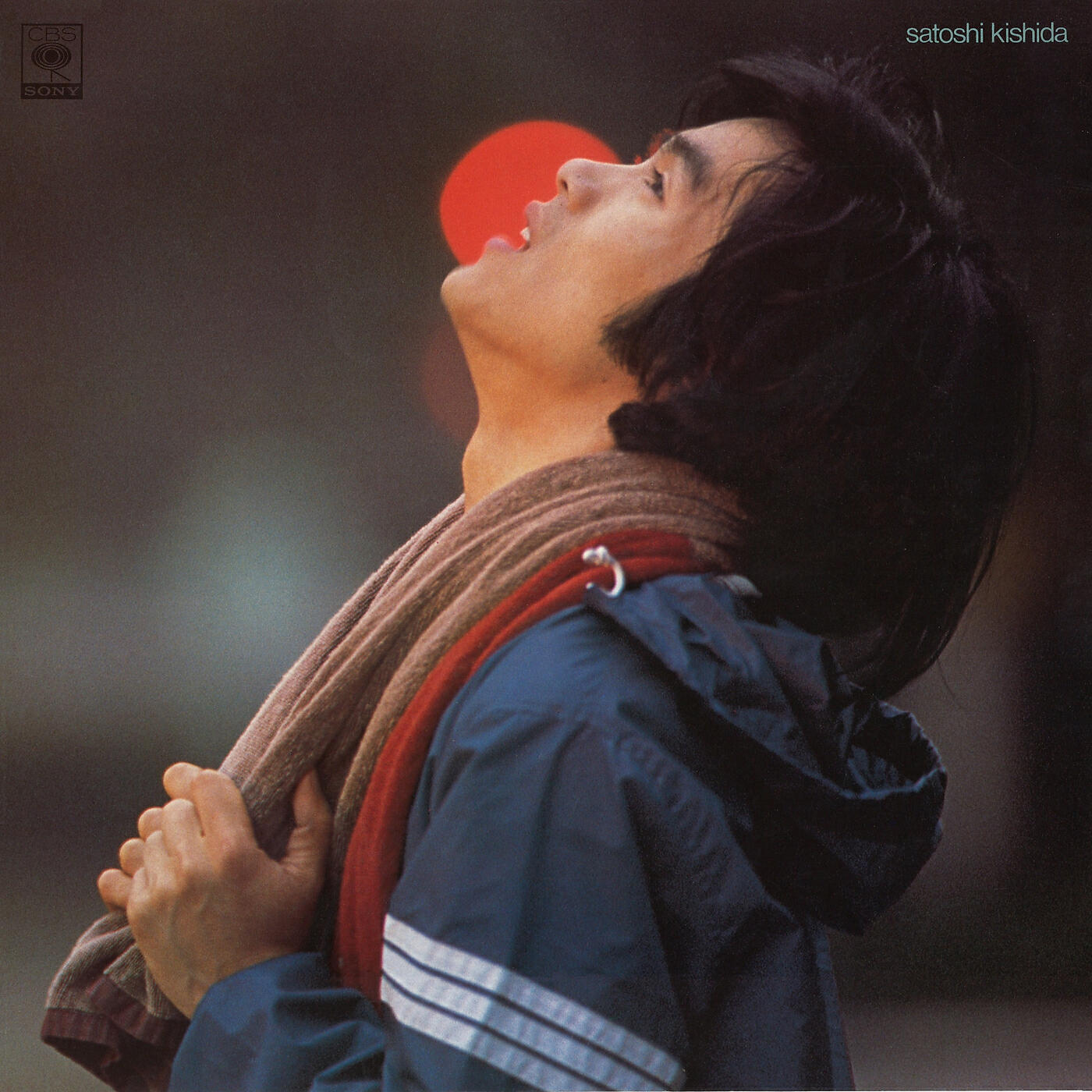 Satoshi Kishida - Amaryllis