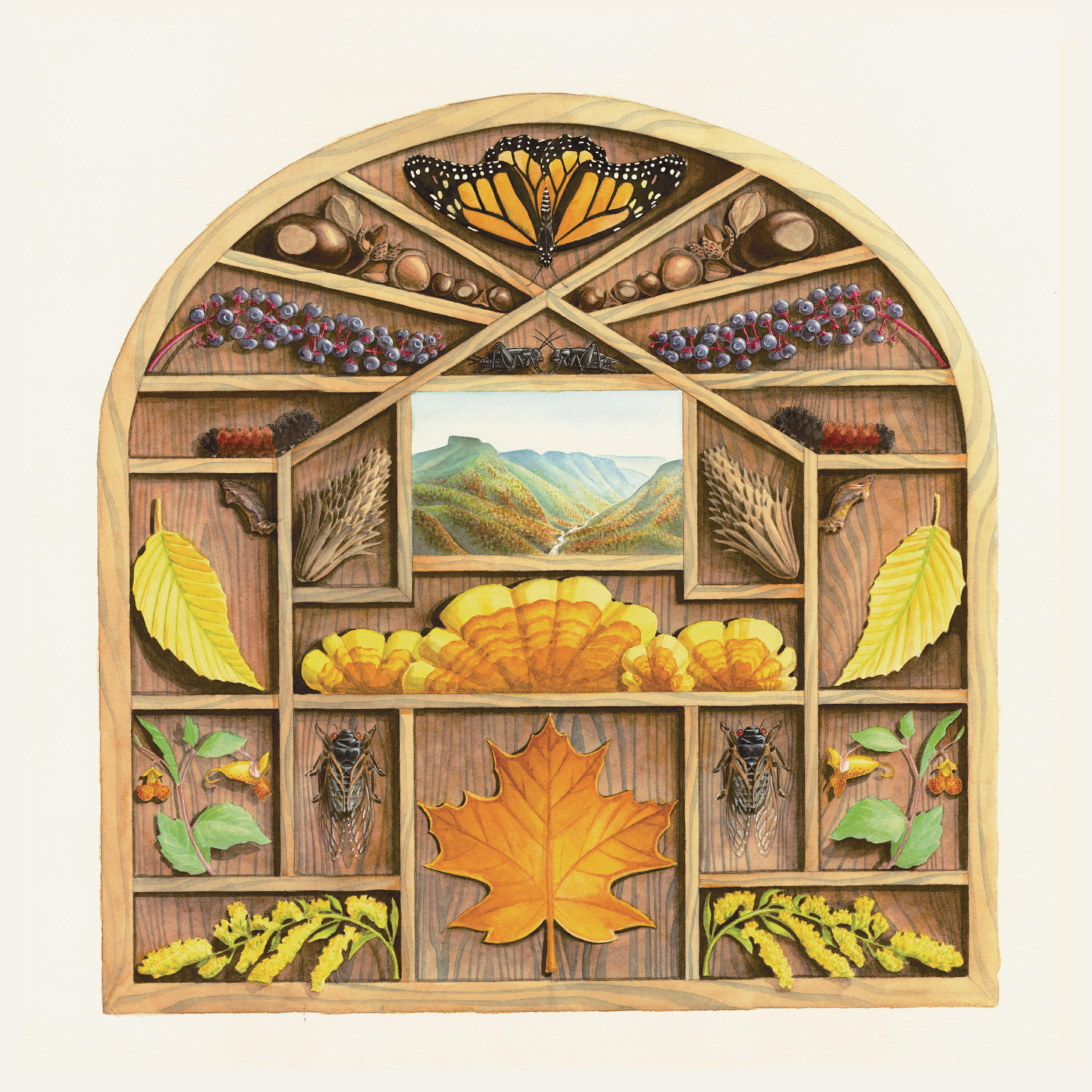 Sarah Louise - Late Summer Seed Collection