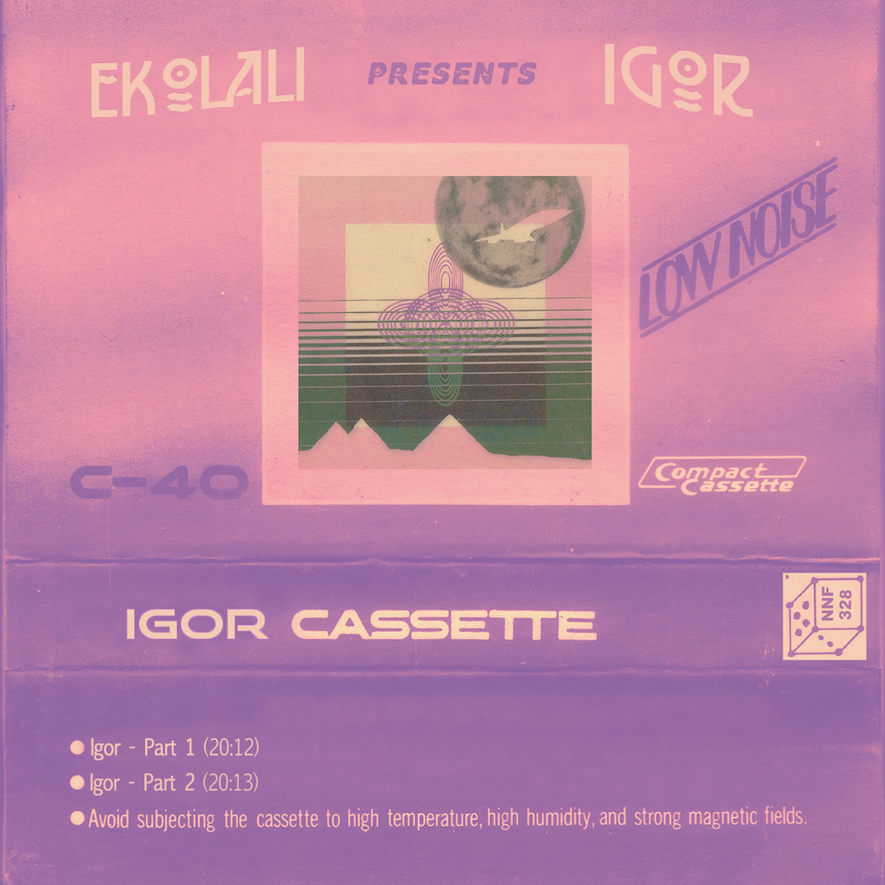 Постер альбома Igor