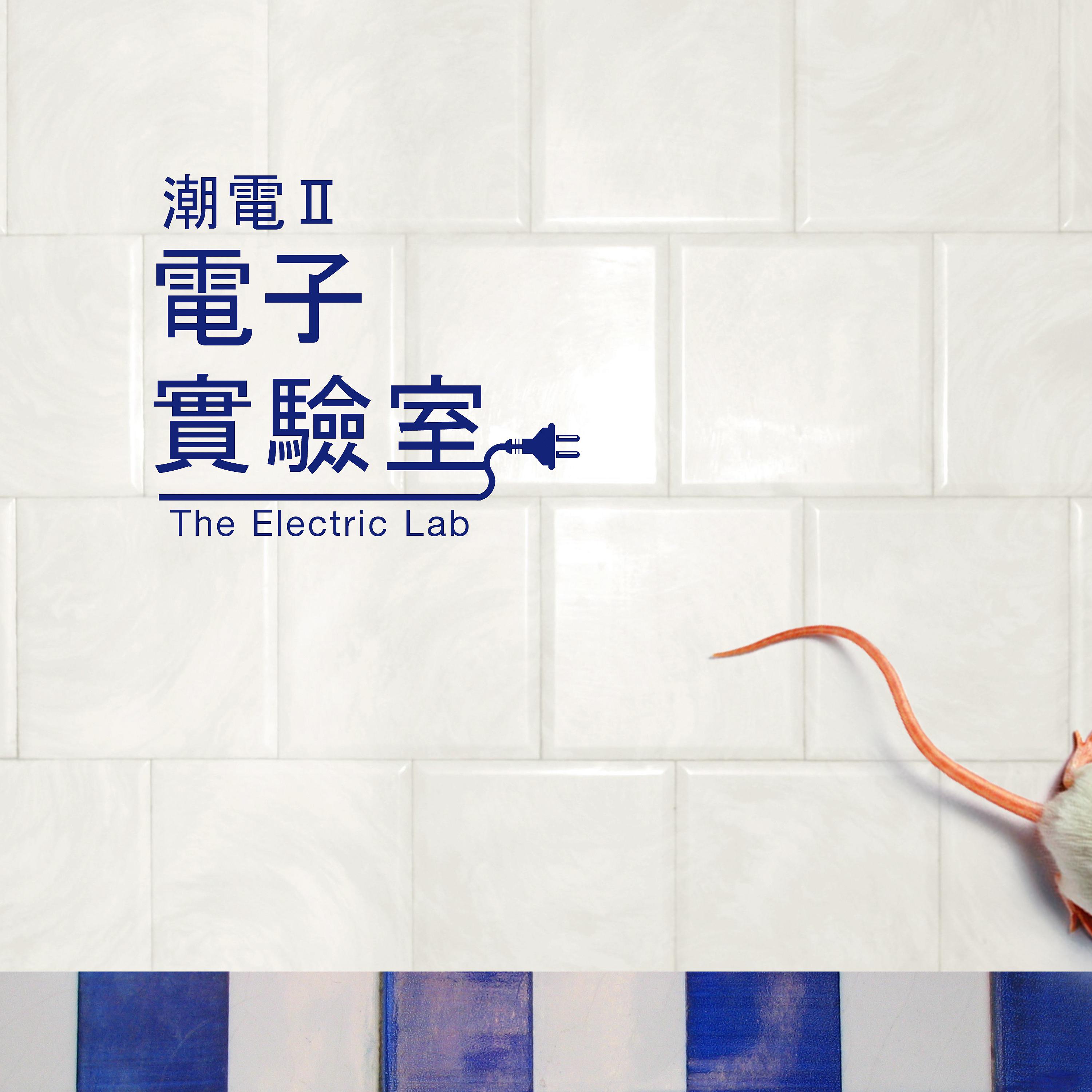 Постер альбома 潮電II-電子實驗室