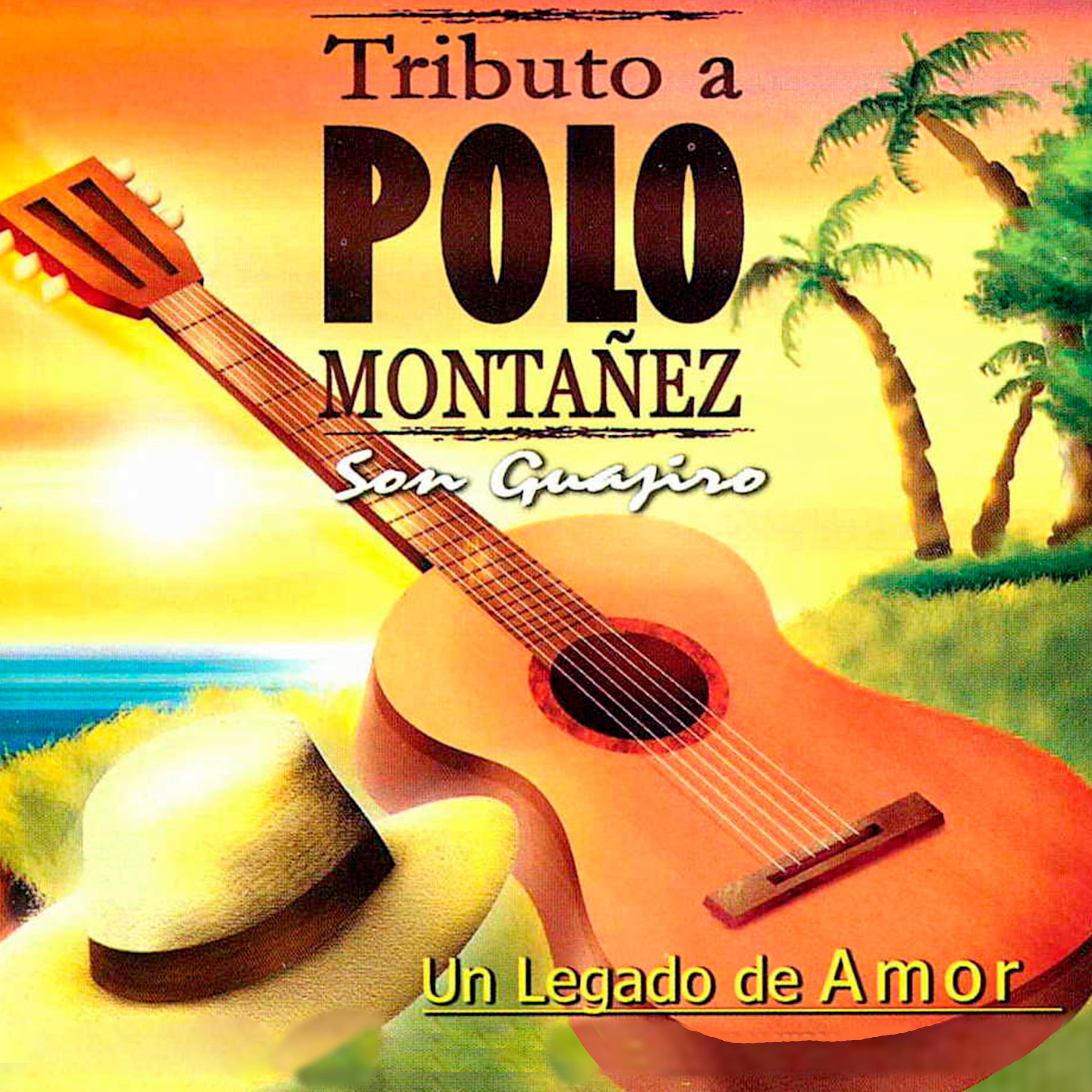 Постер альбома Tributo a Polo Montañez, Un Legado de Amor