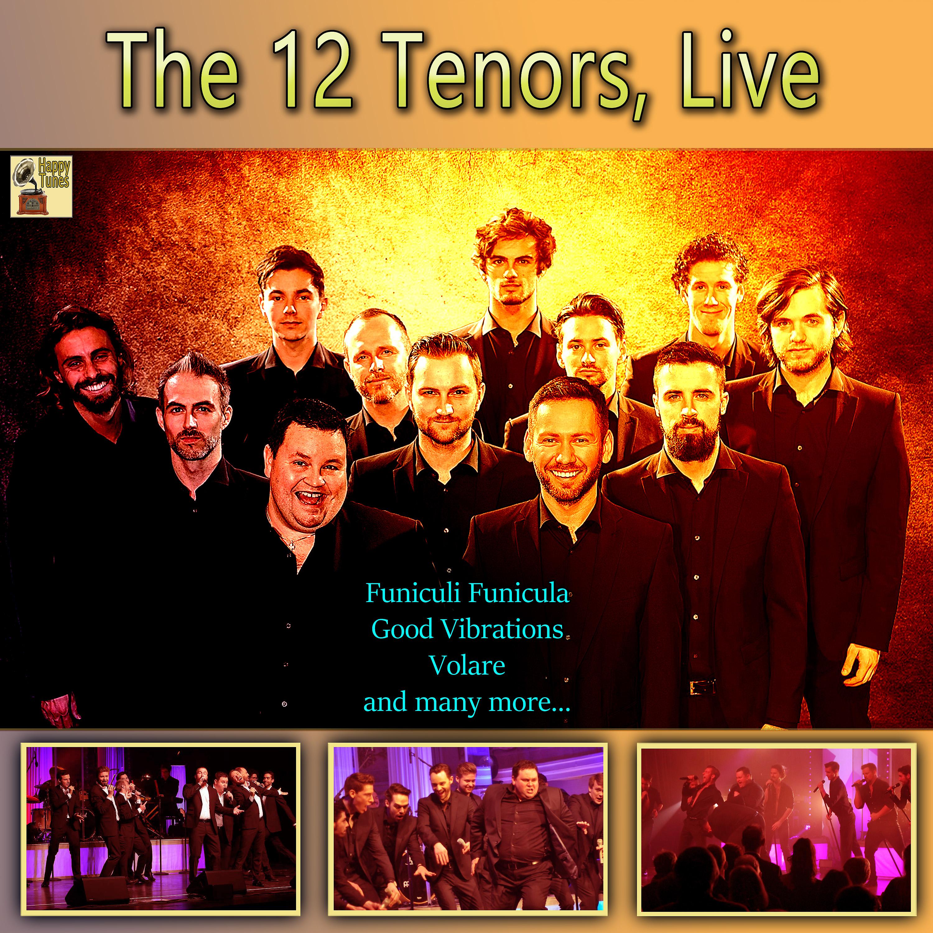 Постер альбома The 12 Tenors (Live)