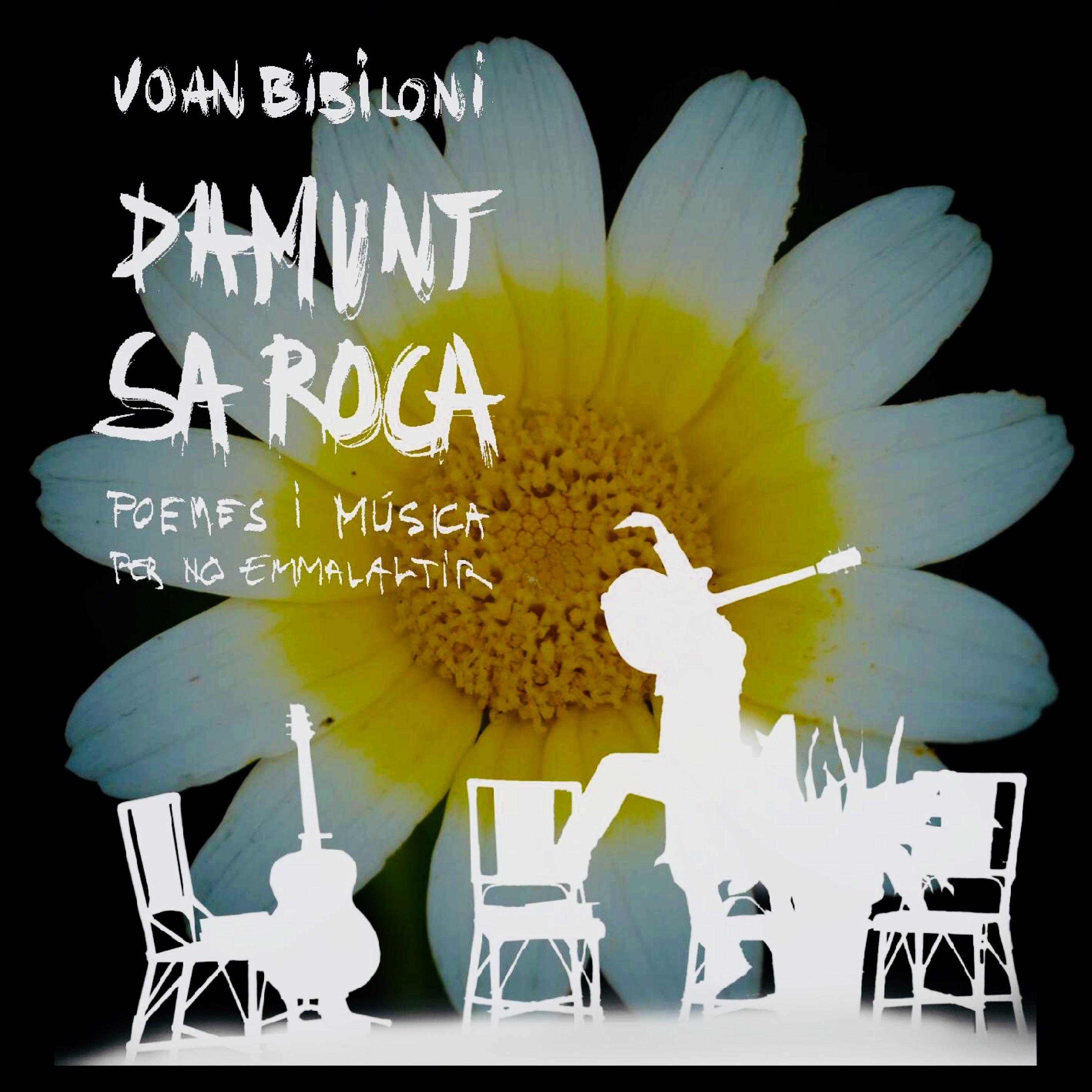 Постер альбома Damunt Sa Roca (Poemes i Música per no Emmalaltir)