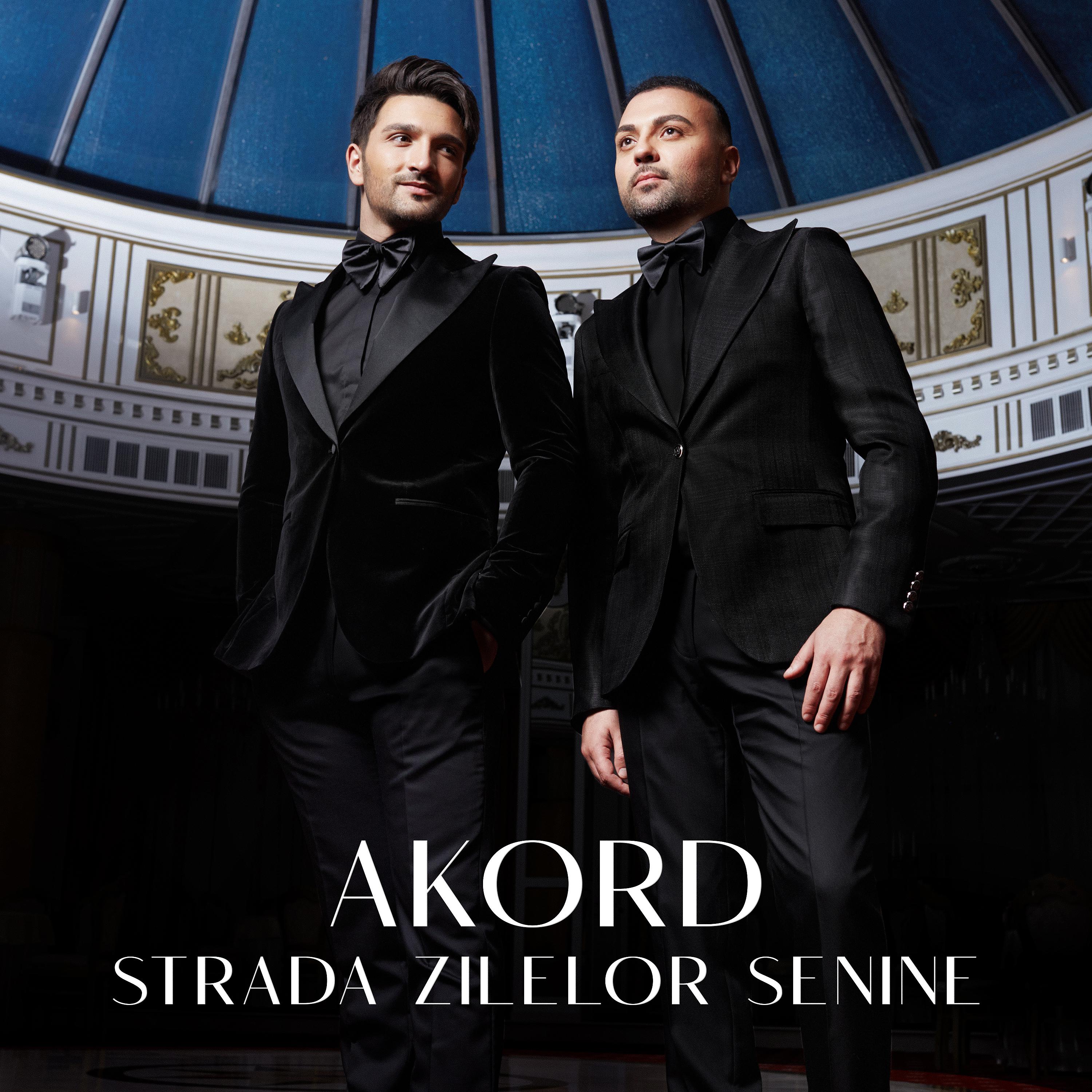 Постер альбома Strada Zilelor Senine