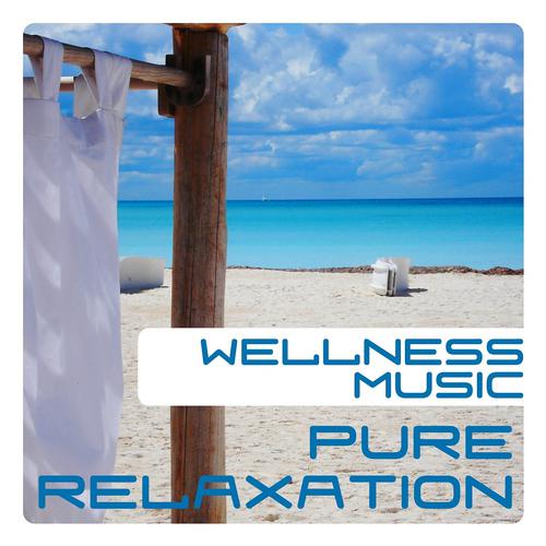 Постер альбома Wellness Music, Pure Relaxation