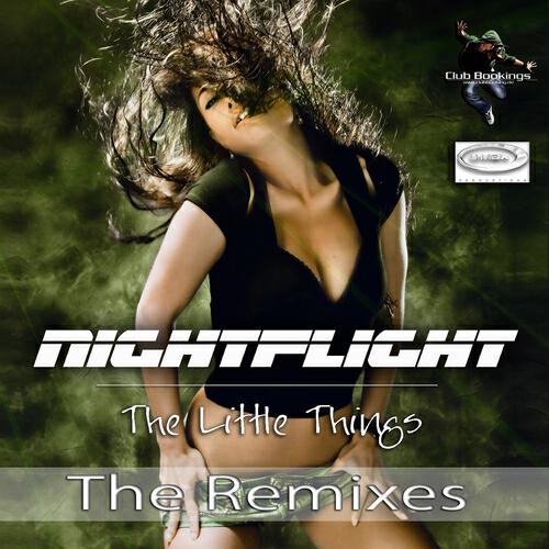Night Flight - Little Things (Springstil Radio Remix)
