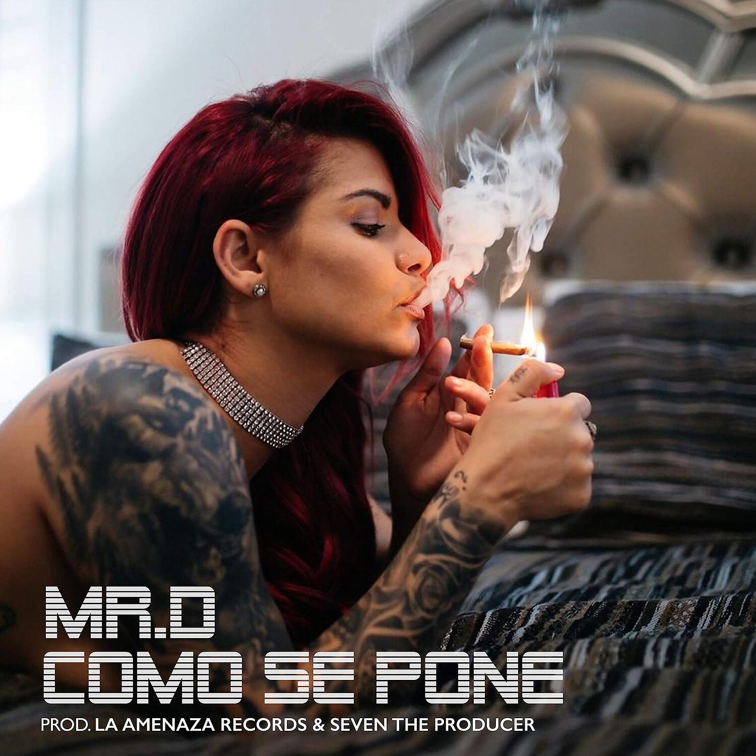 Mr. D - Como Se Pone