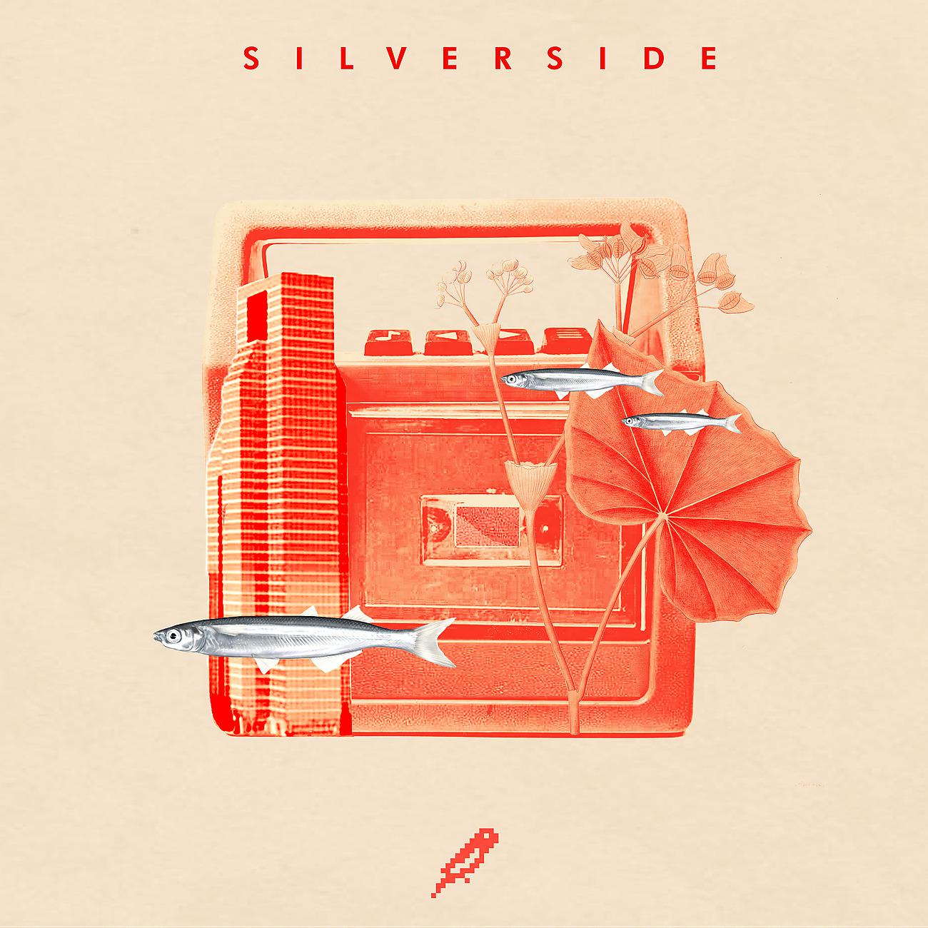 Постер альбома Silverside