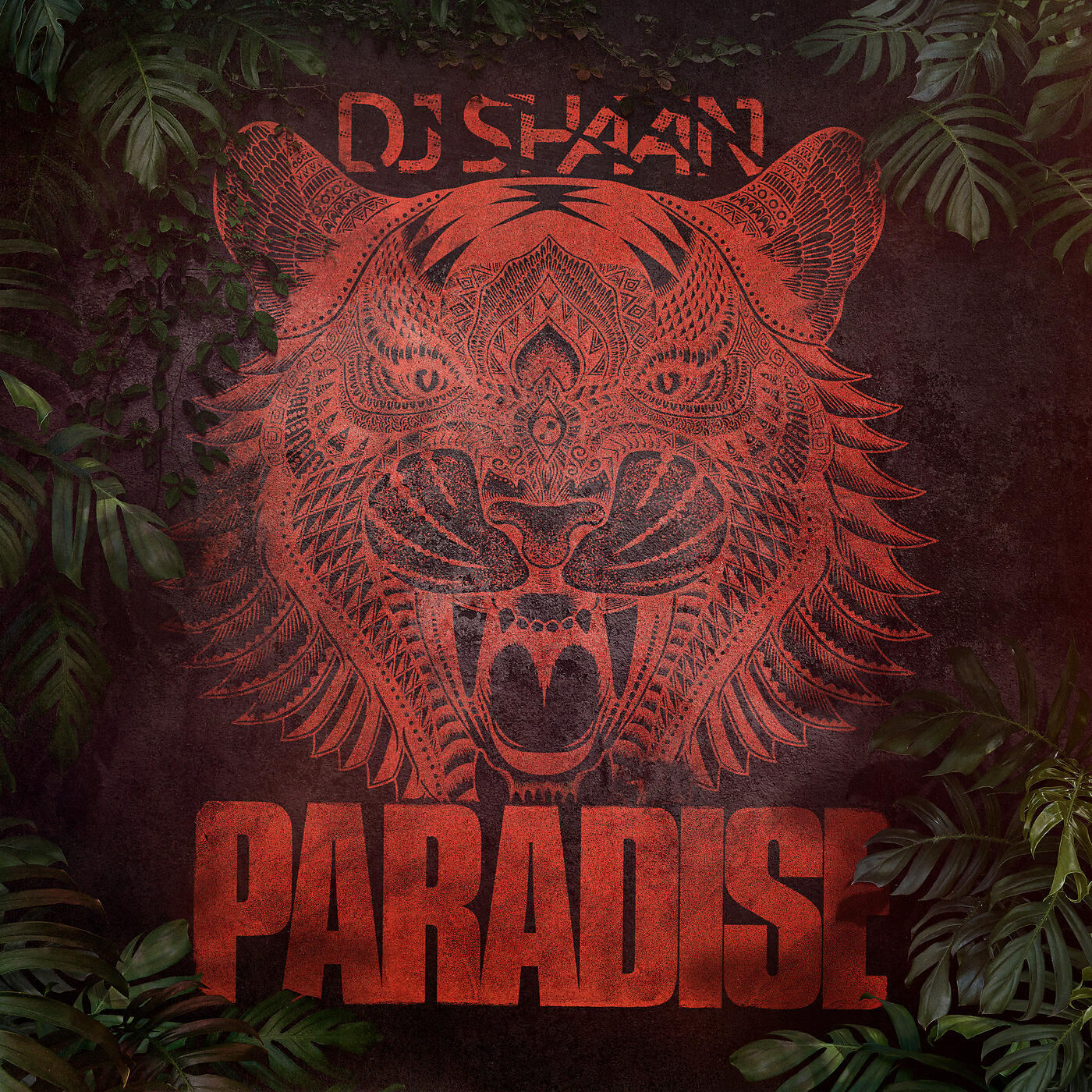 DJ Shaan - Paradise
