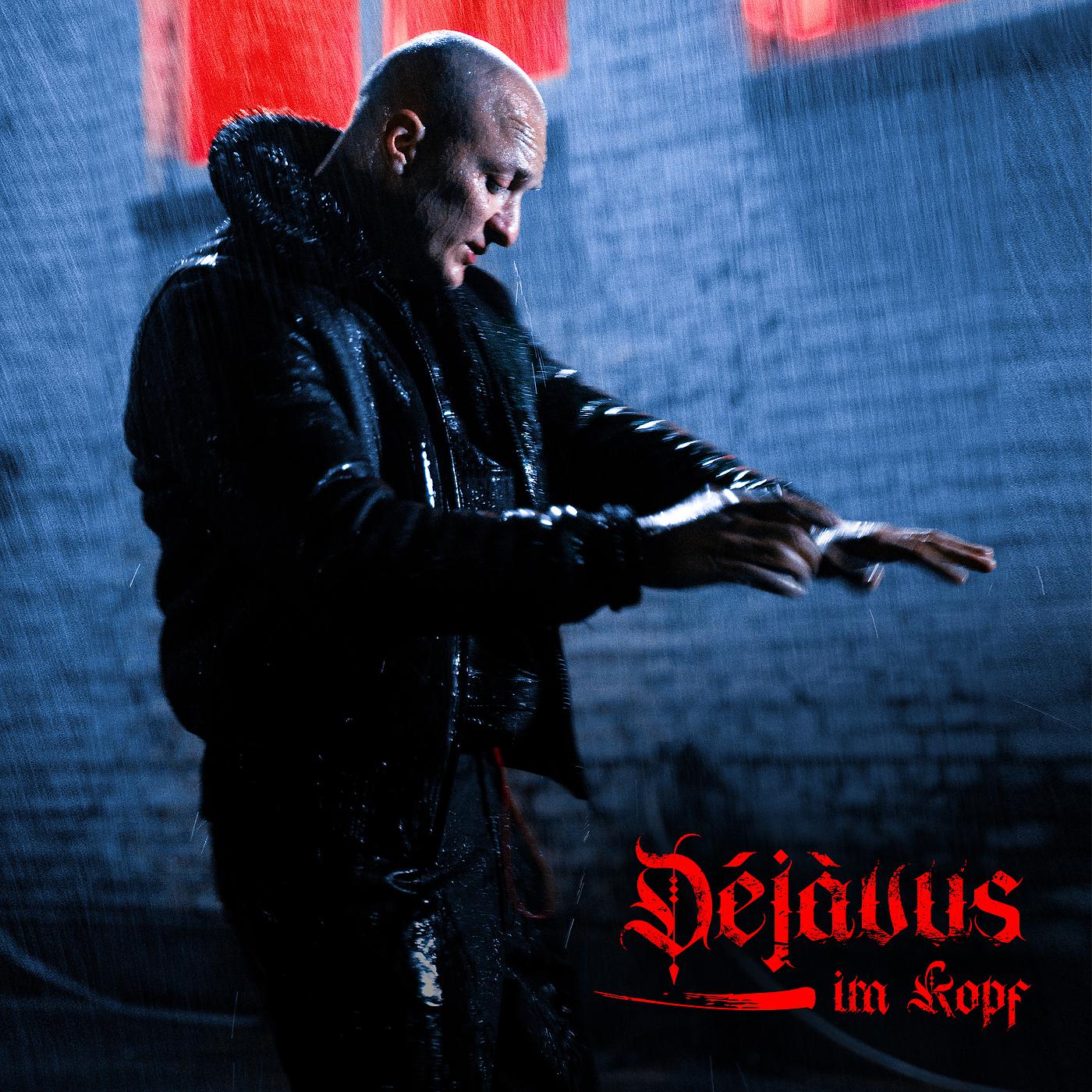 Постер альбома Déjàvus im Kopf