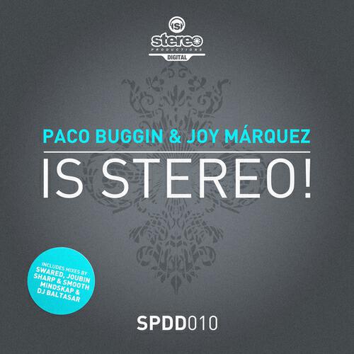 Paco Buggin - Is Stereo! (Acapella)