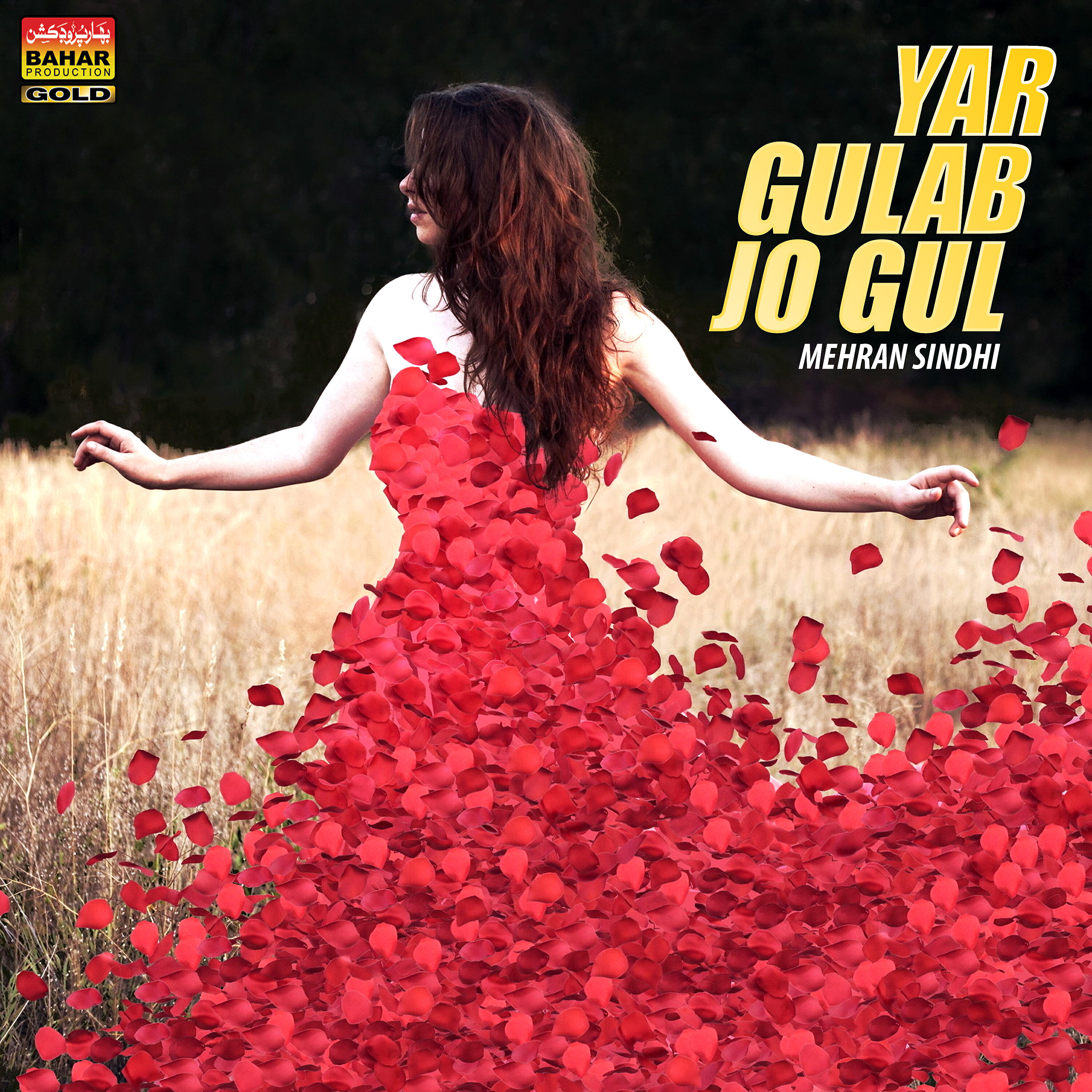 Mehran Sindhi - Saji Rat Guzare To