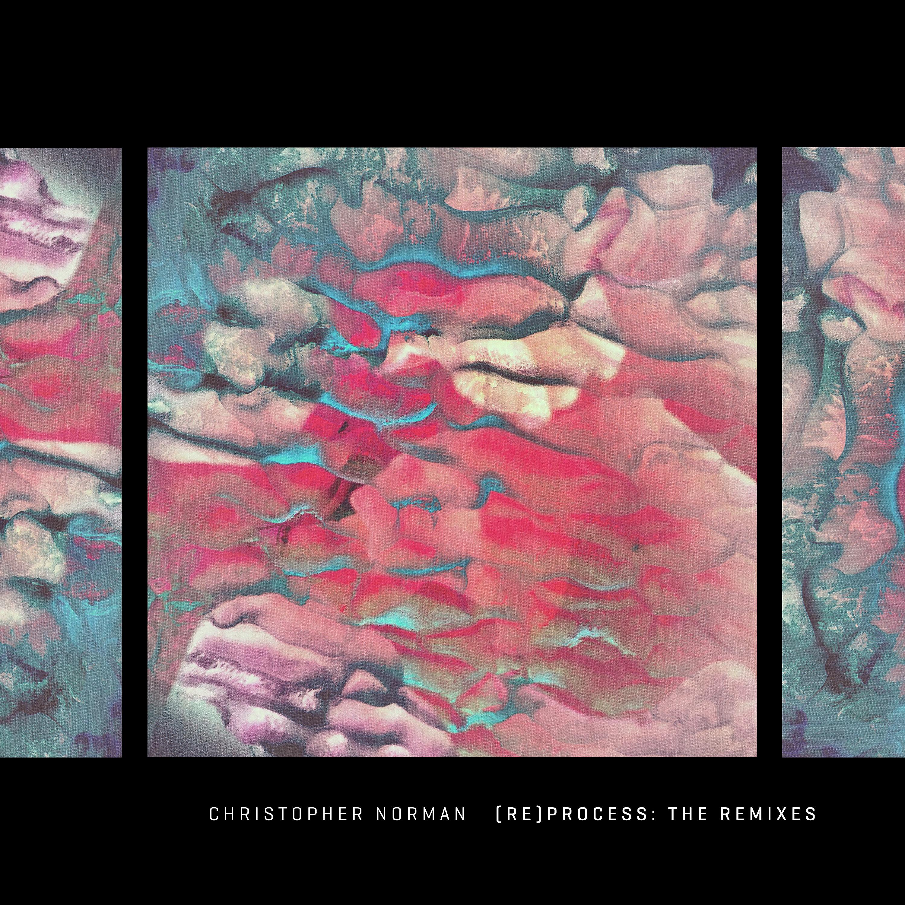 Постер альбома (Re) Process: The Remixes