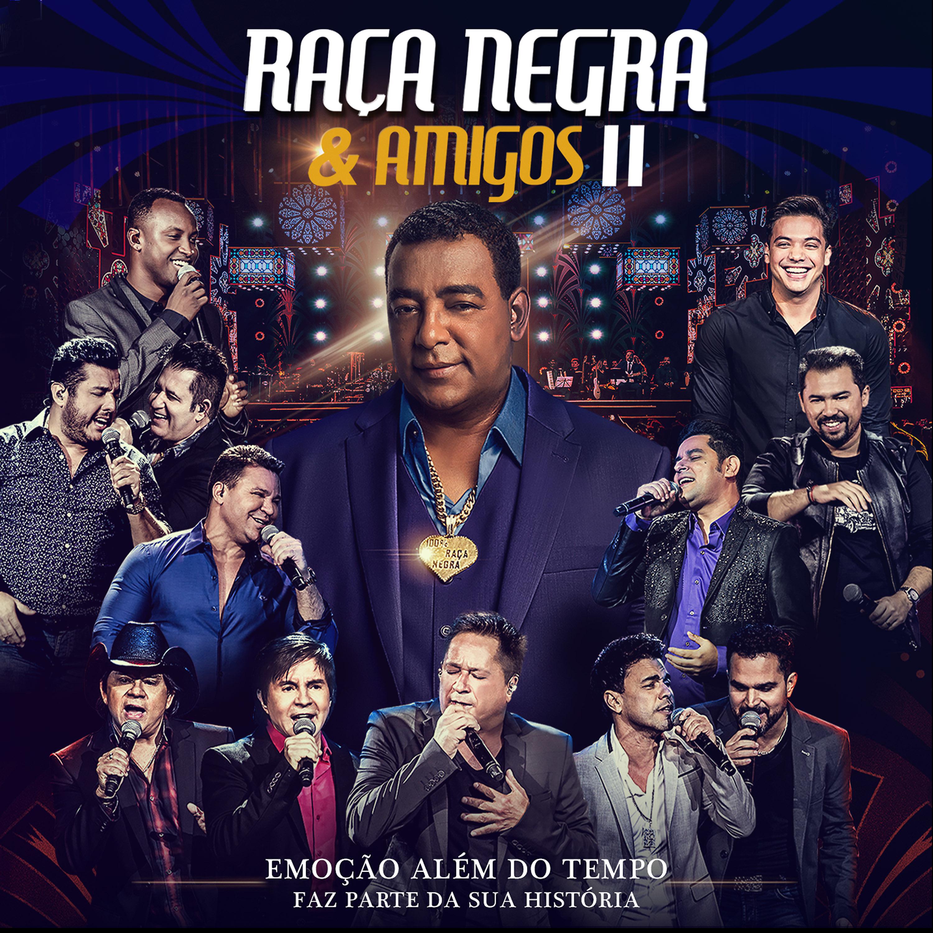 Постер альбома Raça Negra e Amigos II (Ao Vivo)