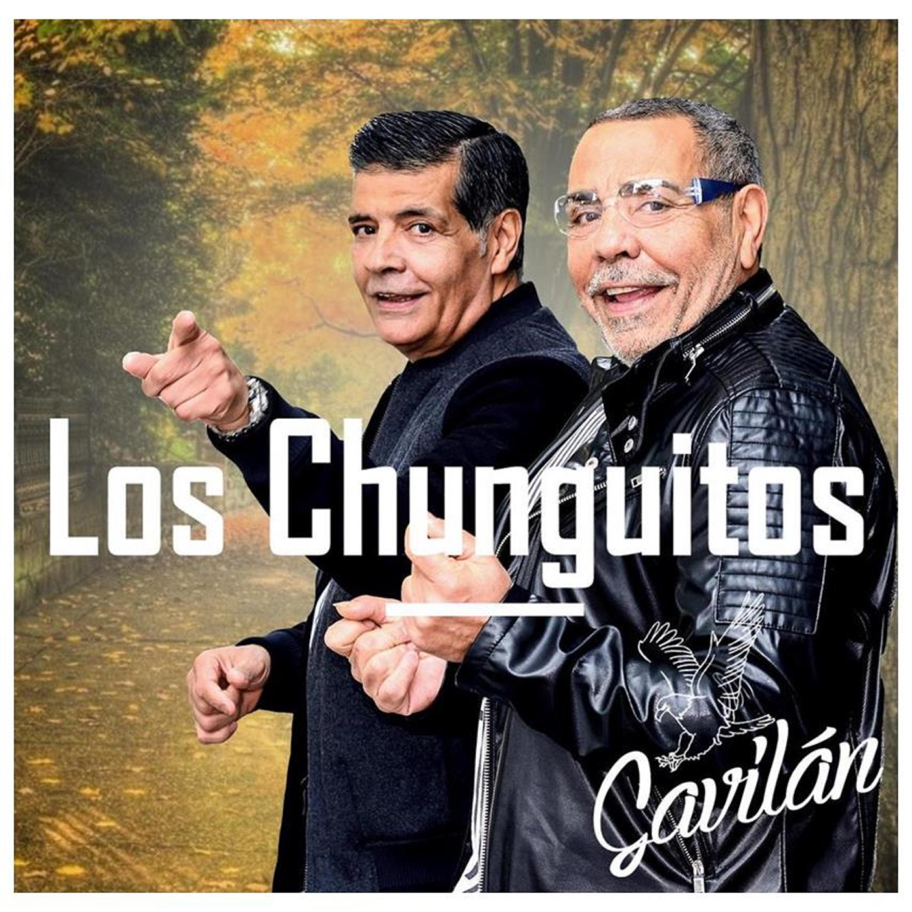 Постер альбома Gavilán