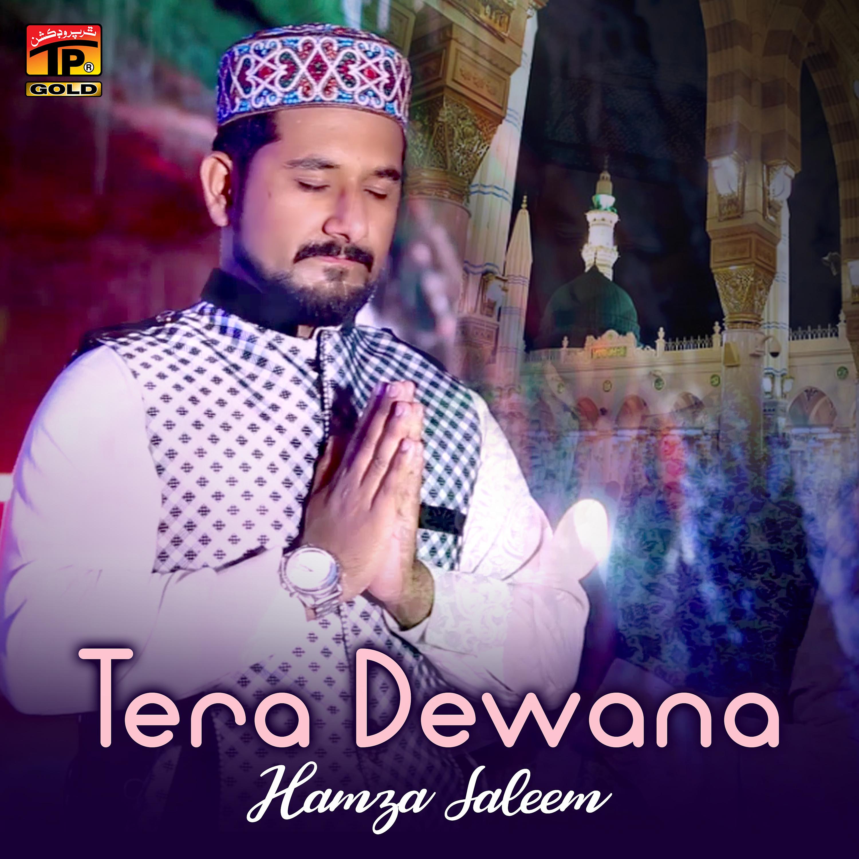 Постер альбома Tera Dewana - Single