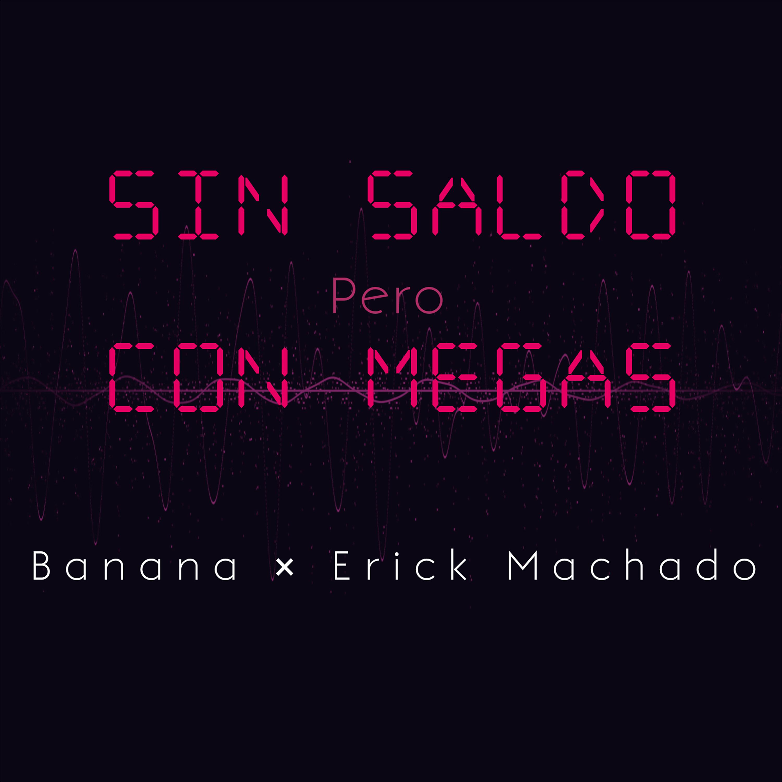Постер альбома Sin Saldo Pero Con Megas