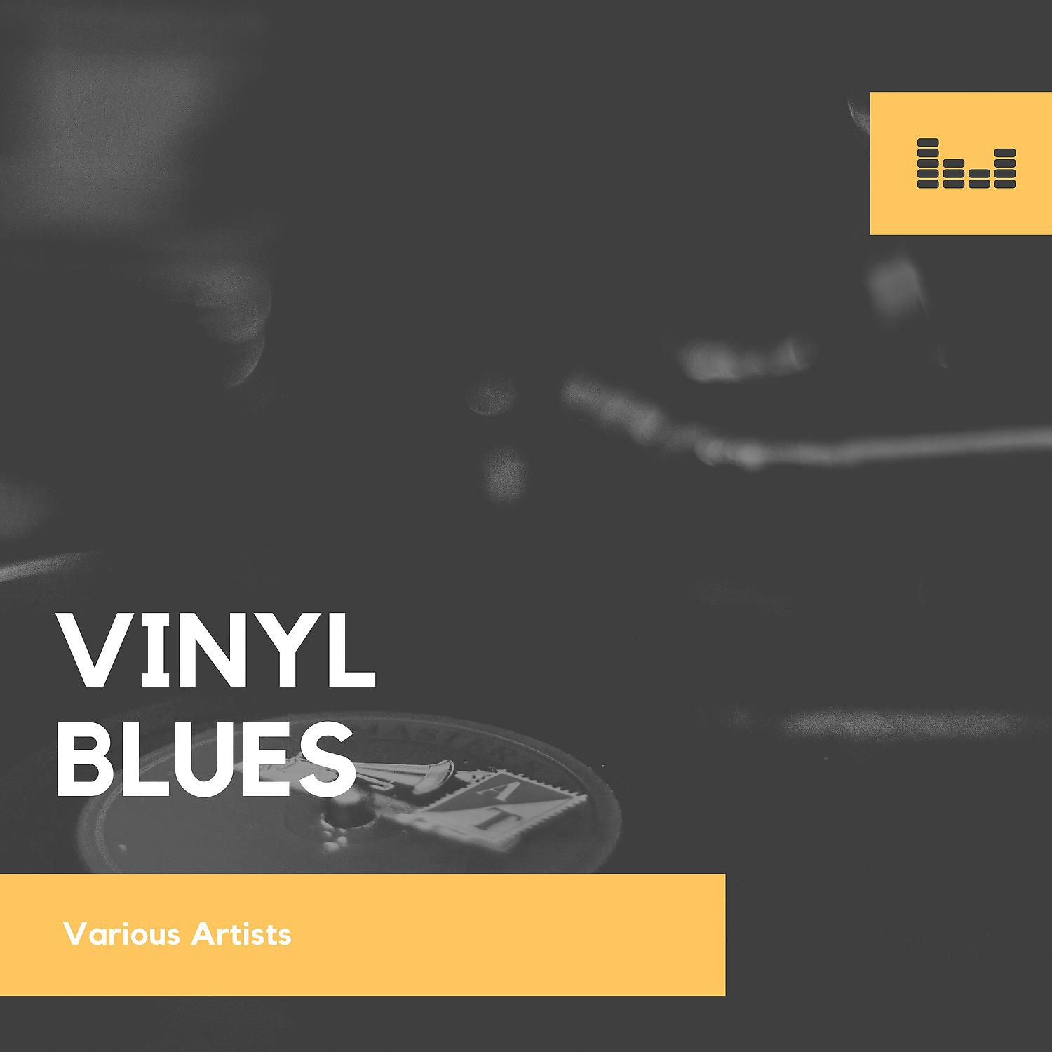 Постер альбома Vinyl Blues