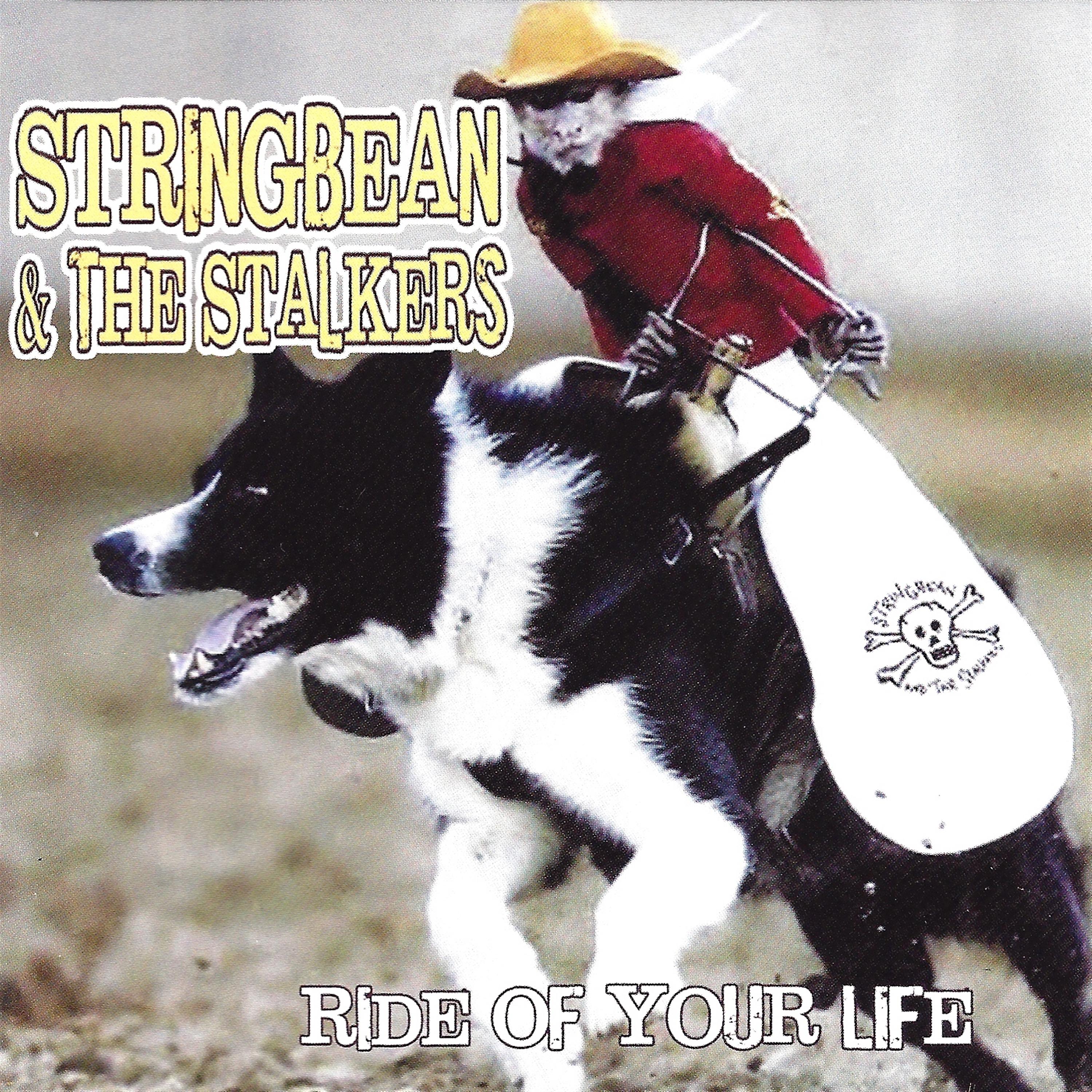 Постер альбома Ride of Your Life
