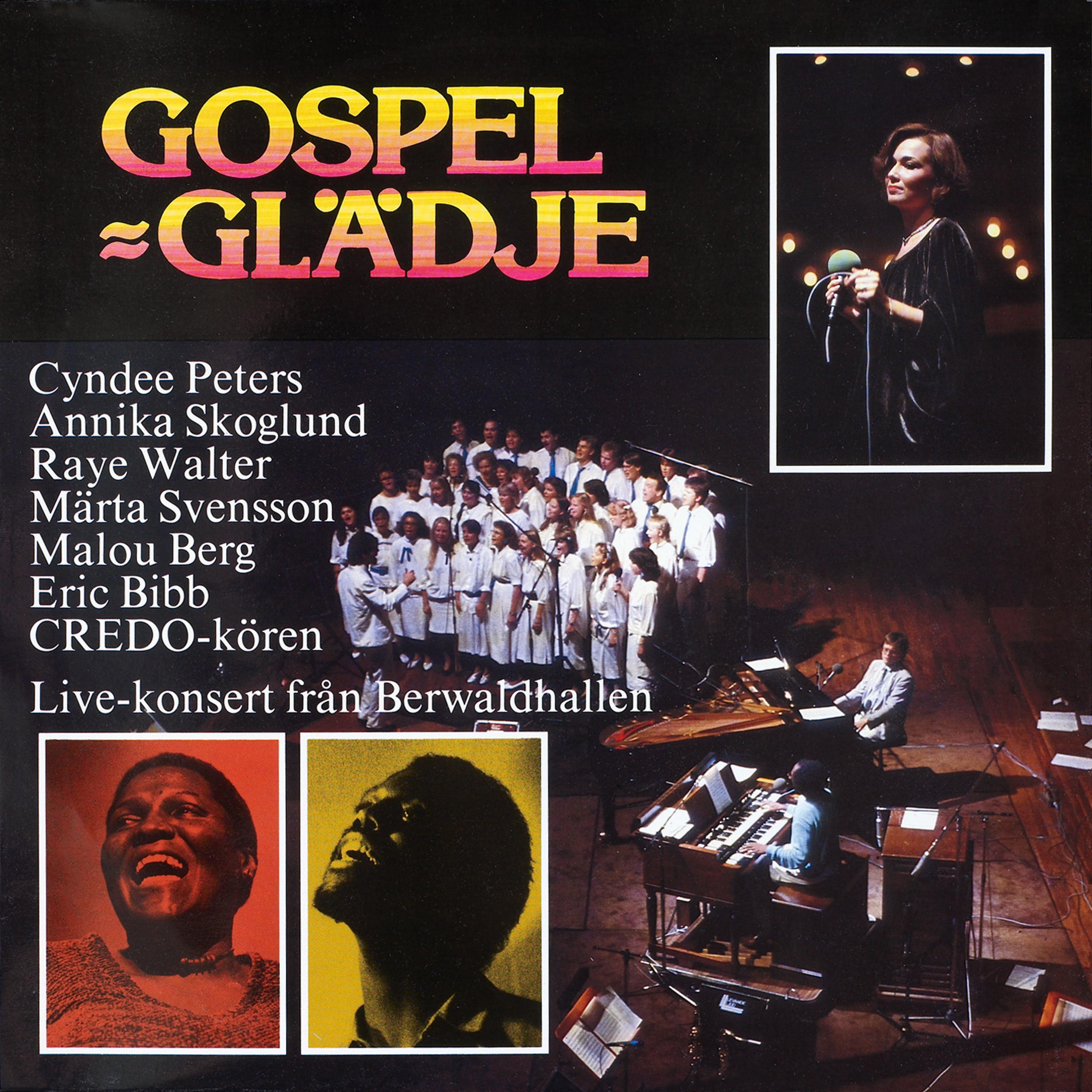 Постер альбома Gospel - Glädje