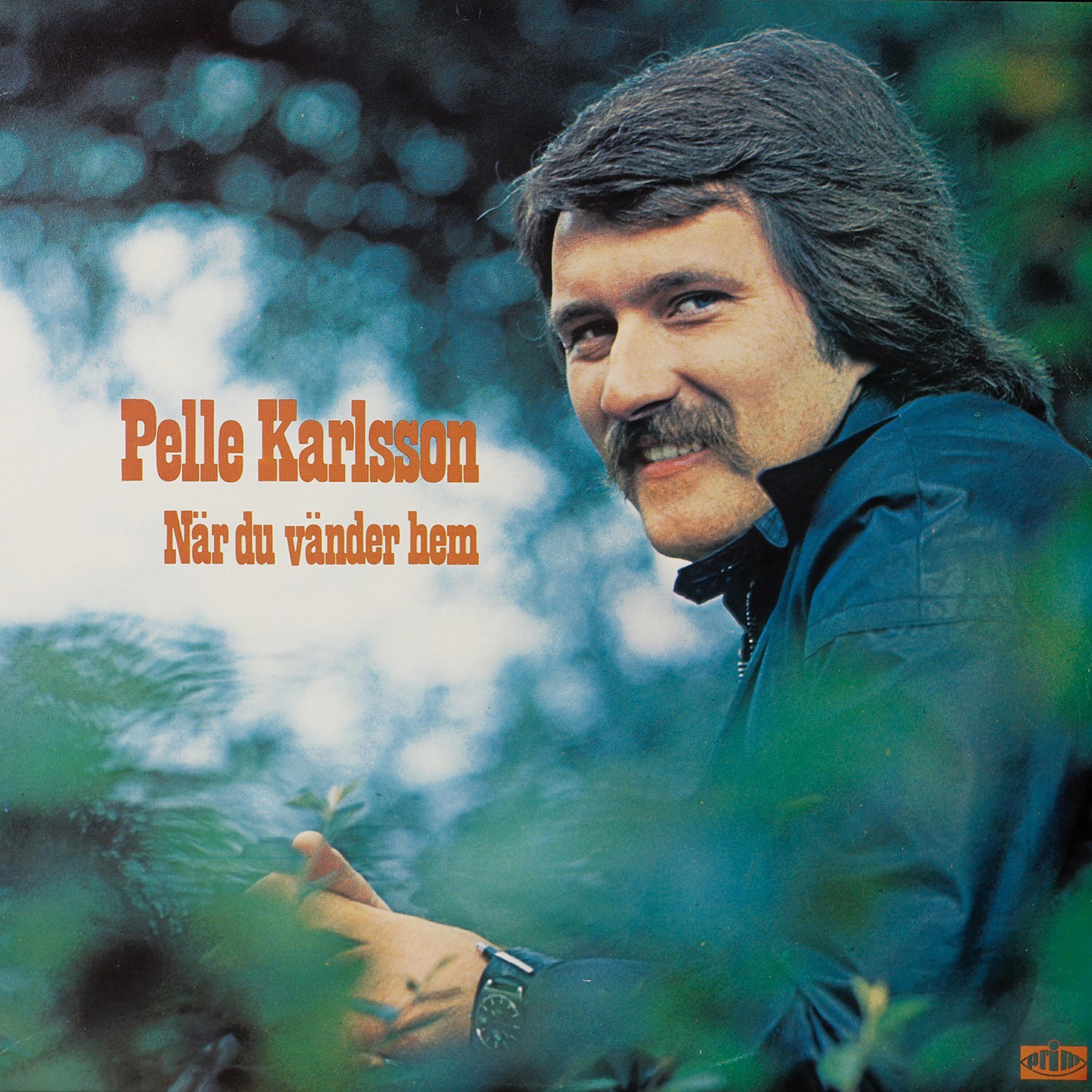 Pelle Karlsson - När du vänder hem