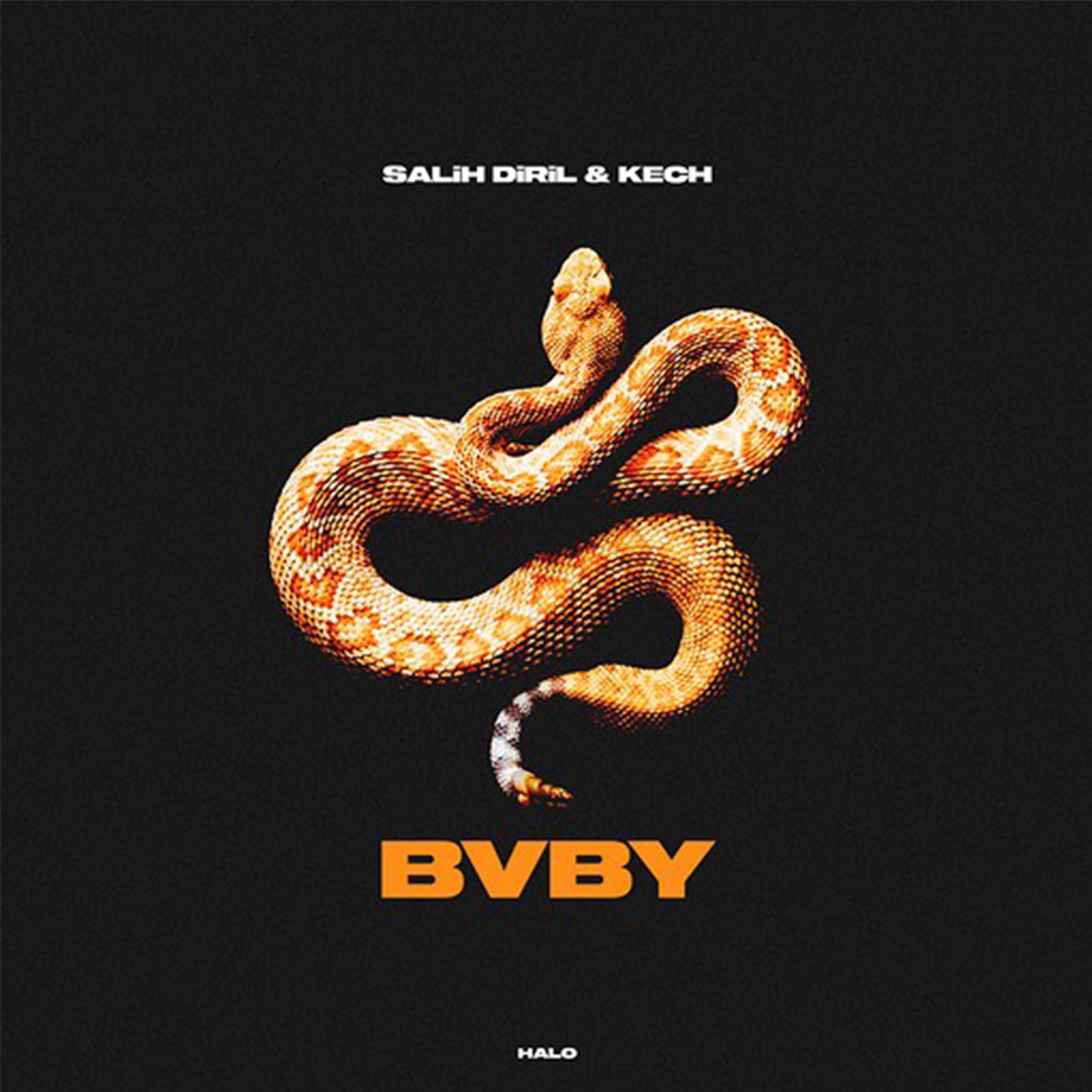 Постер альбома BvBy