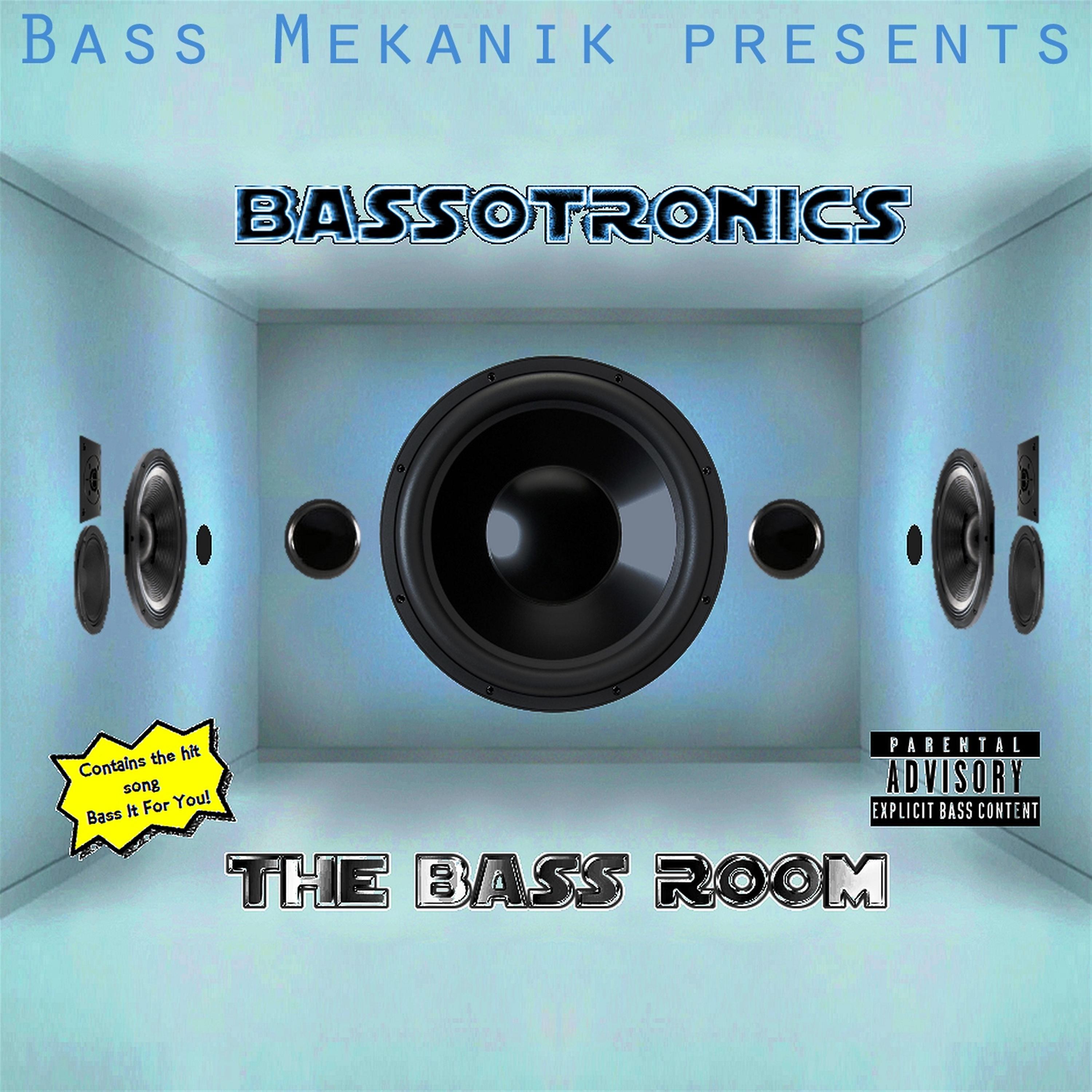 Постер альбома Bass Mekanik Presents Bassotronics: The Bass Room