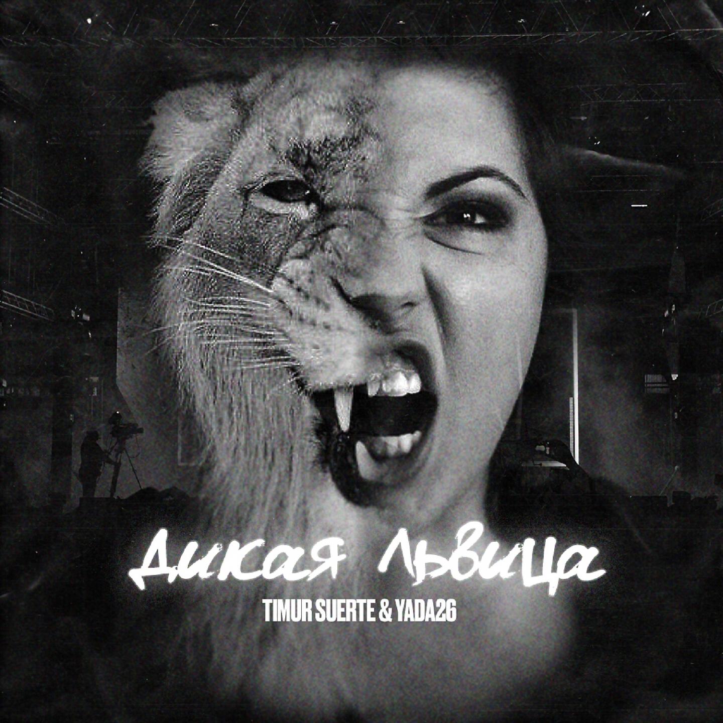 Дикая львица. Дикая львица alex & rus. Алекс и рус дикая львица. Aleks rus дикая львица. Дикая львица.