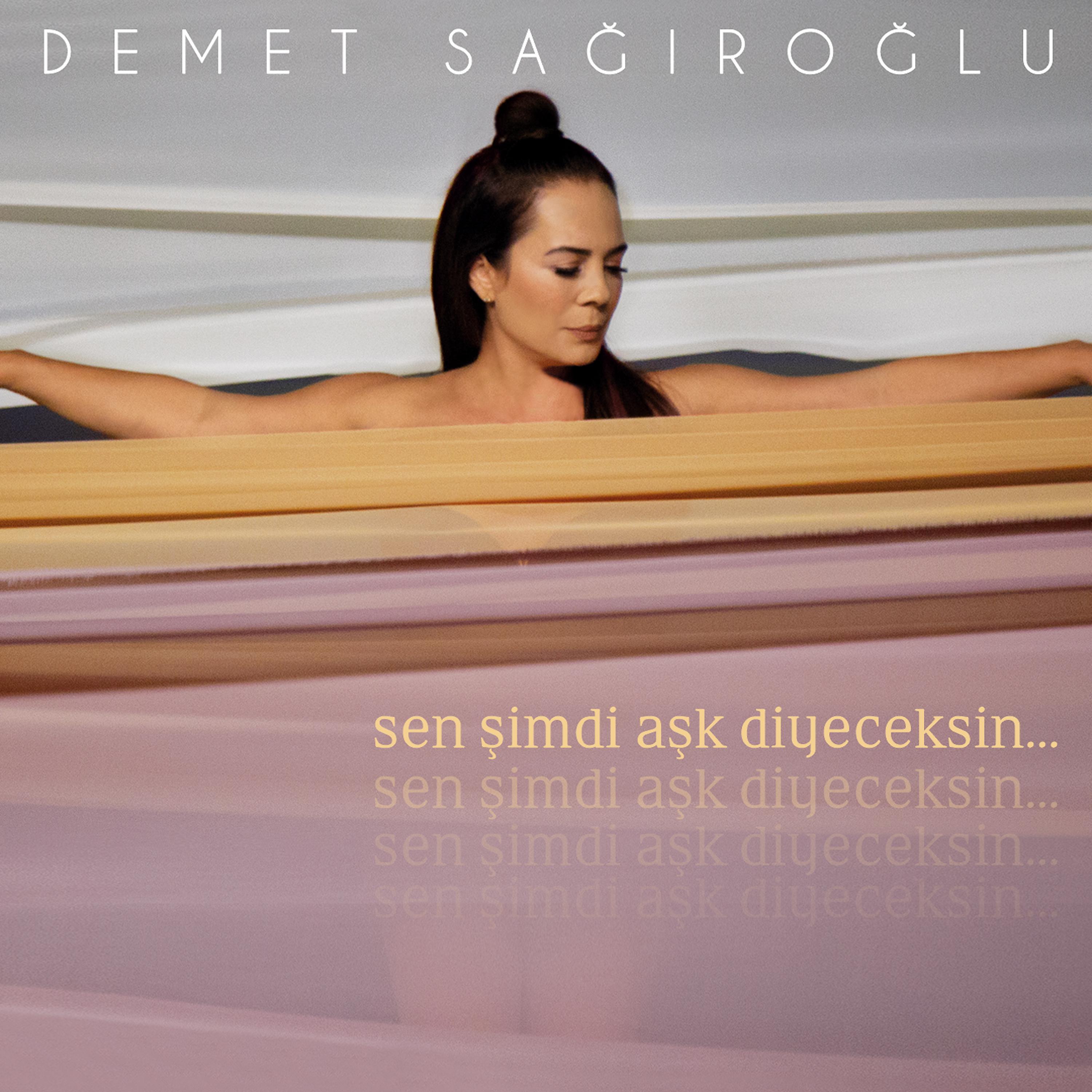 Постер альбома Sen Şimdi Aşk Diyeceksin
