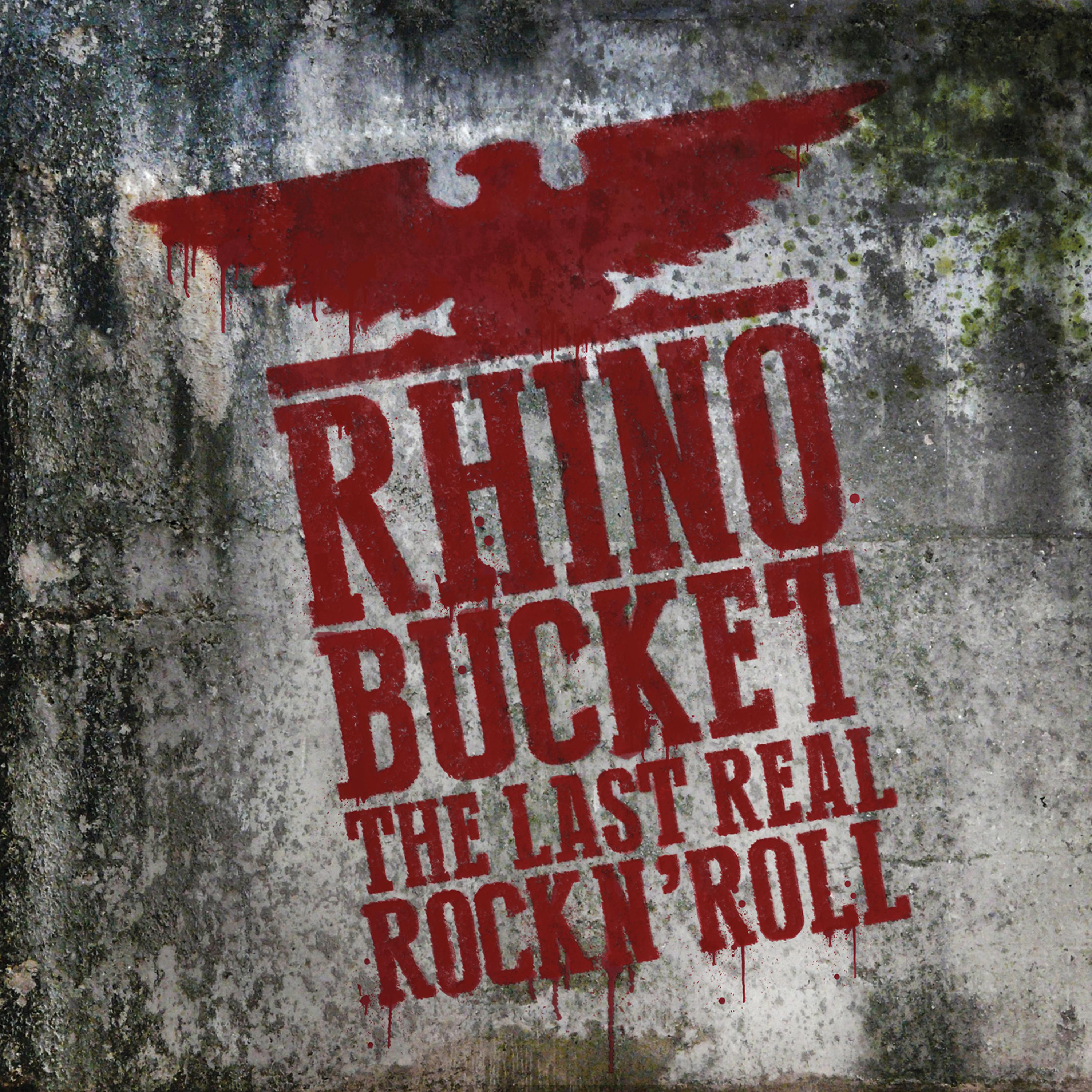 Постер альбома The Last Real Rock N' Roll