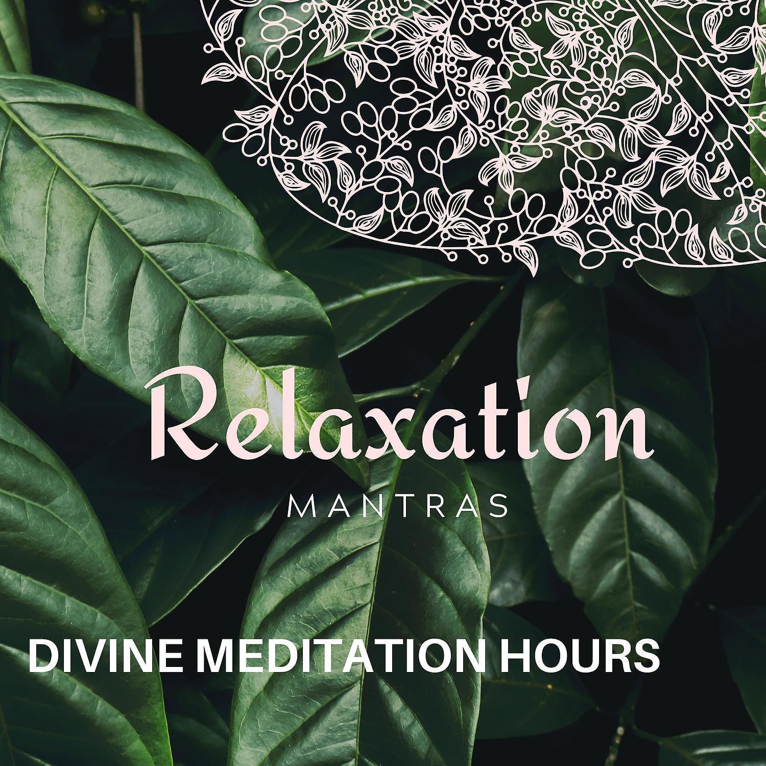 Постер альбома Divine Meditation Hours