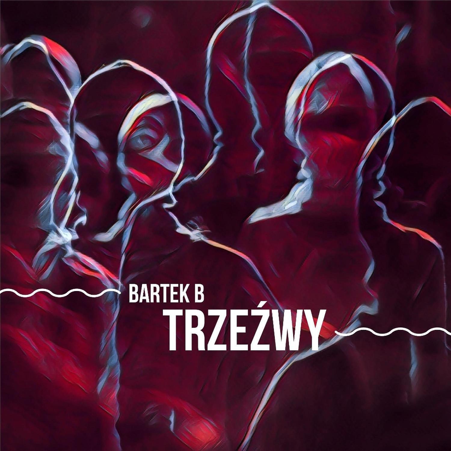 Bartek B - Trzezwy