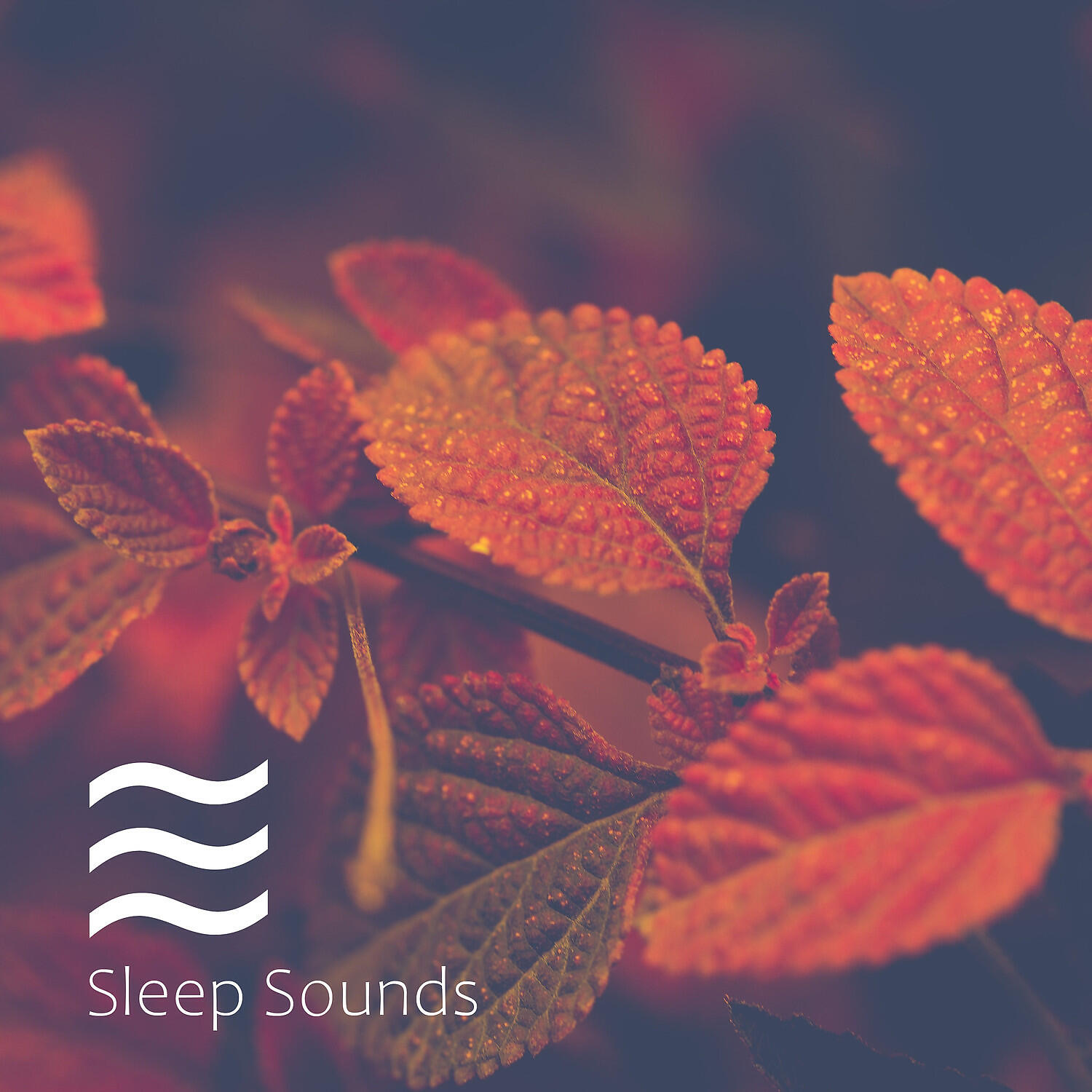 Deep Raining for Babies - Infants Relief Sleep Rain Noise