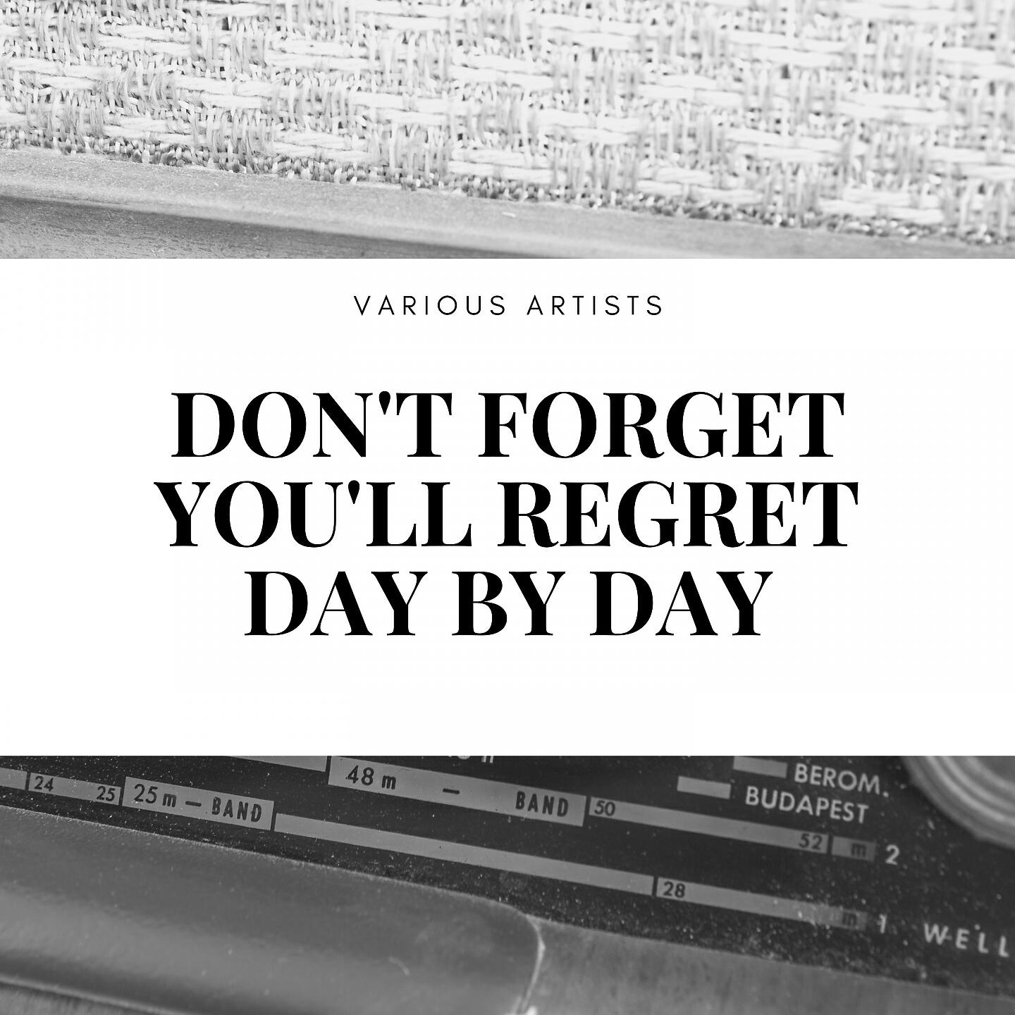 Charlie Johnson' Paradise Orchestra - Don't Forget You'll Regret Day By Day
