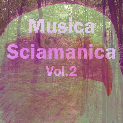 Постер альбома Musica sciamanica, vol. 2