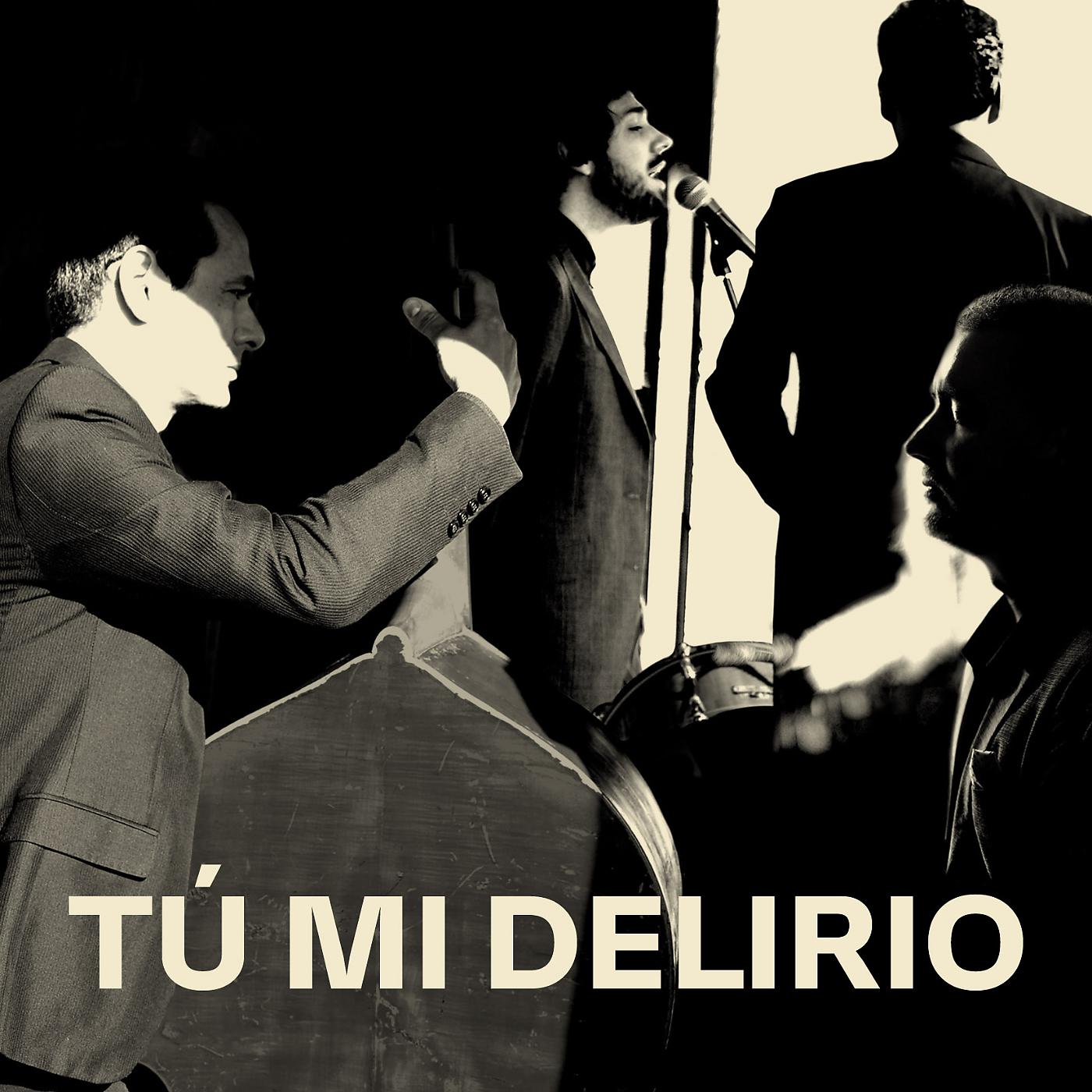 Постер альбома Tú mi delirio