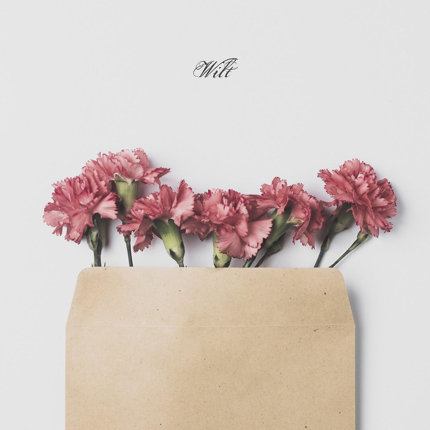 Samwise - Wilt