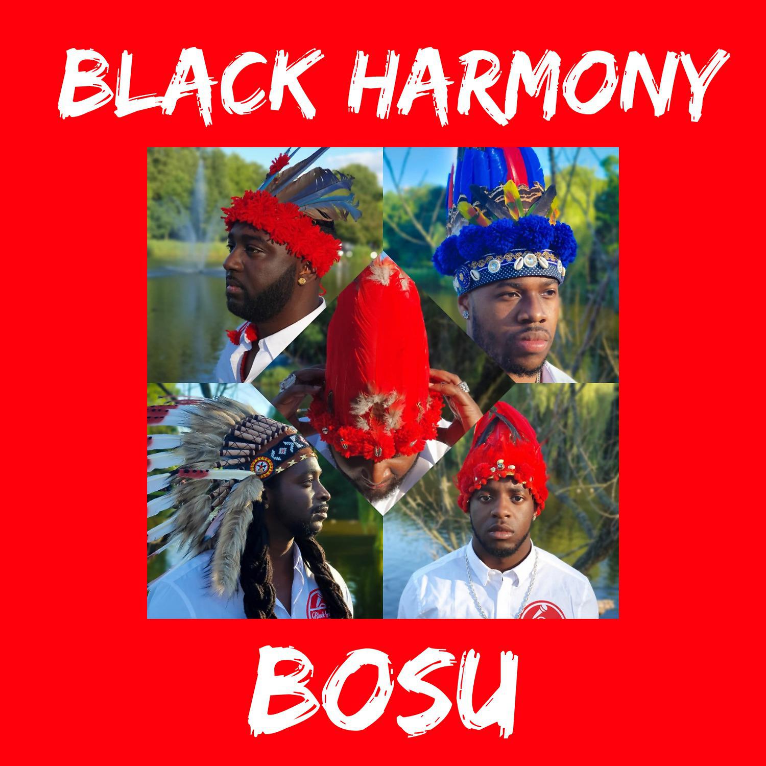Постер альбома Bosu
