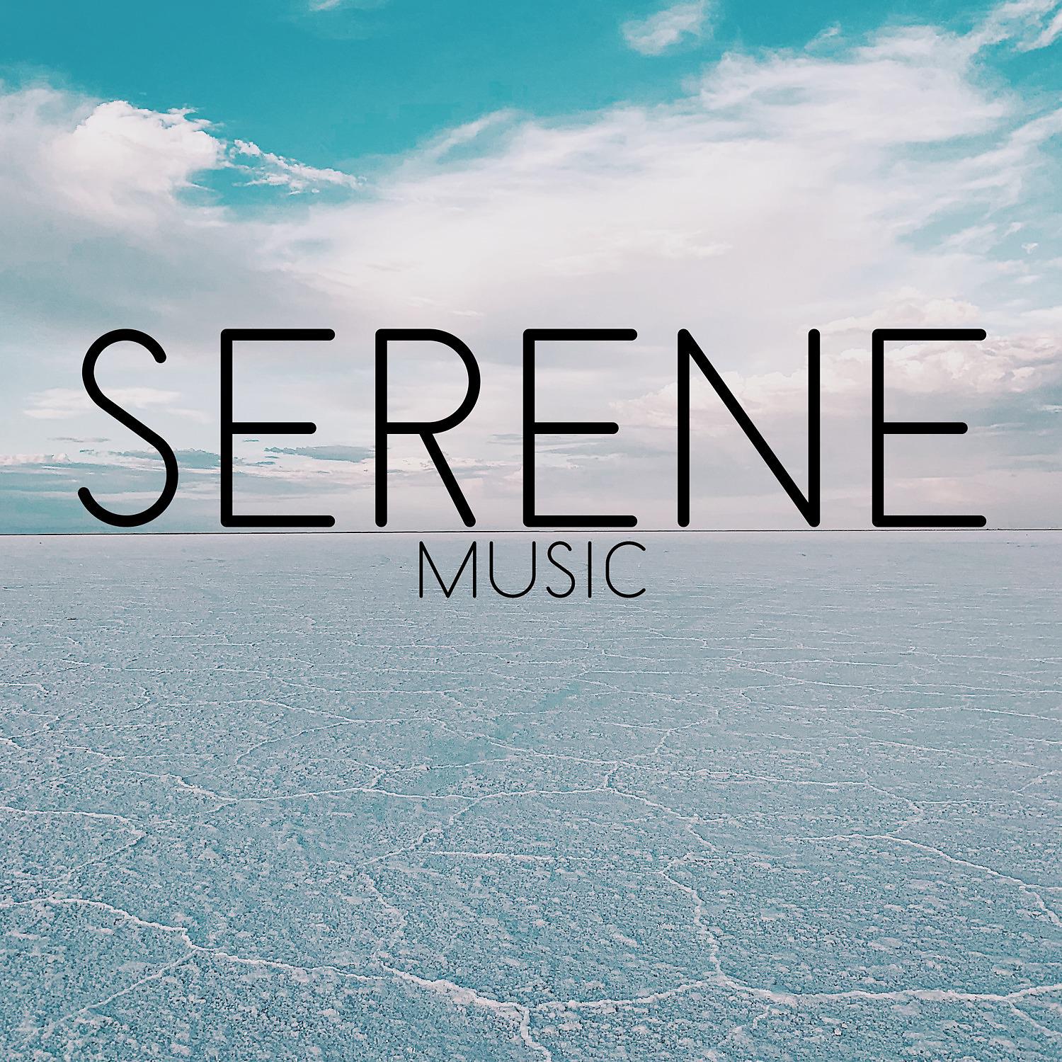 Постер альбома Serene Music