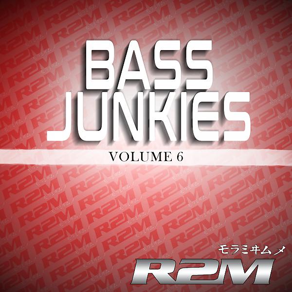 Постер альбома Bass Junkies 6