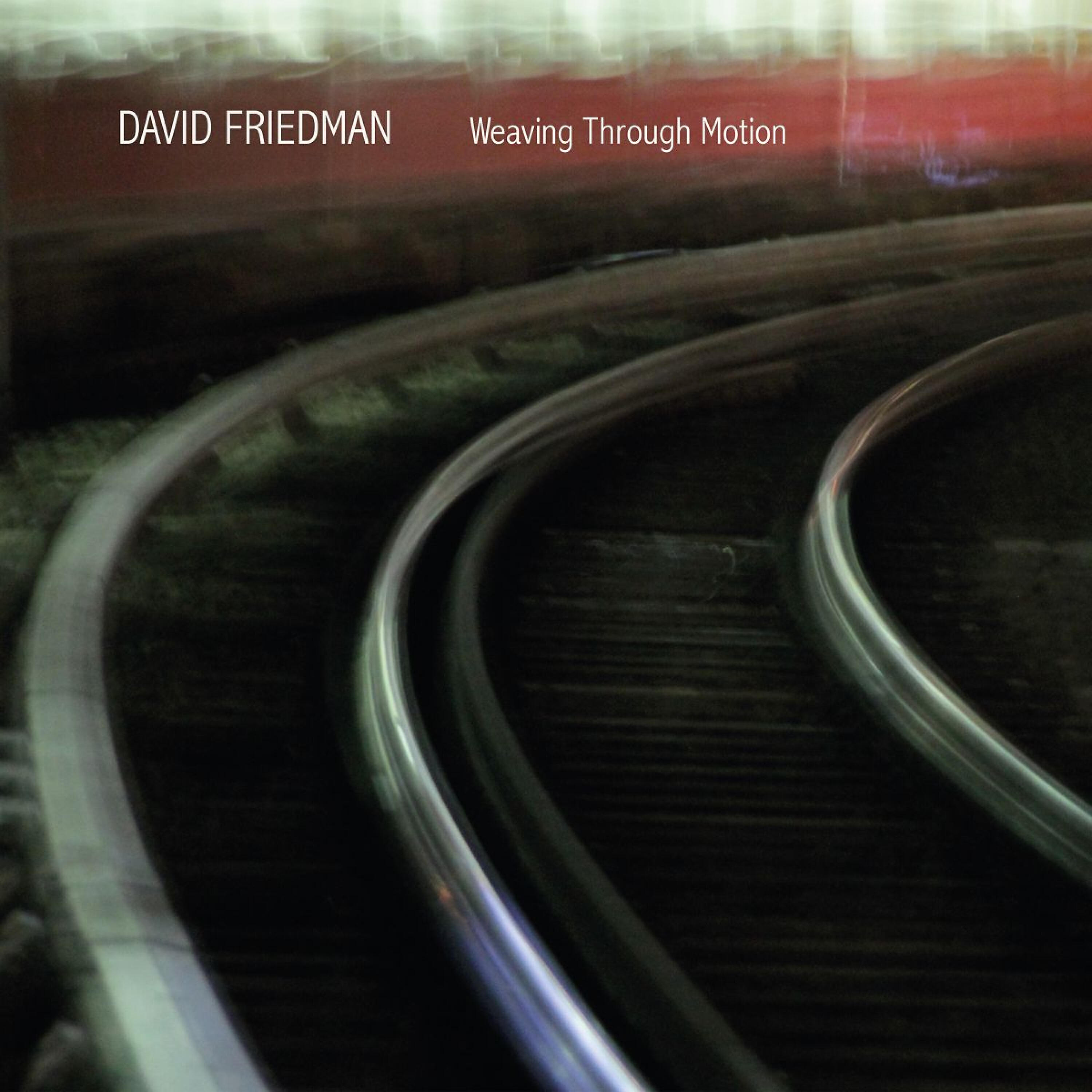 David Friedman - Two Minds, One Thought