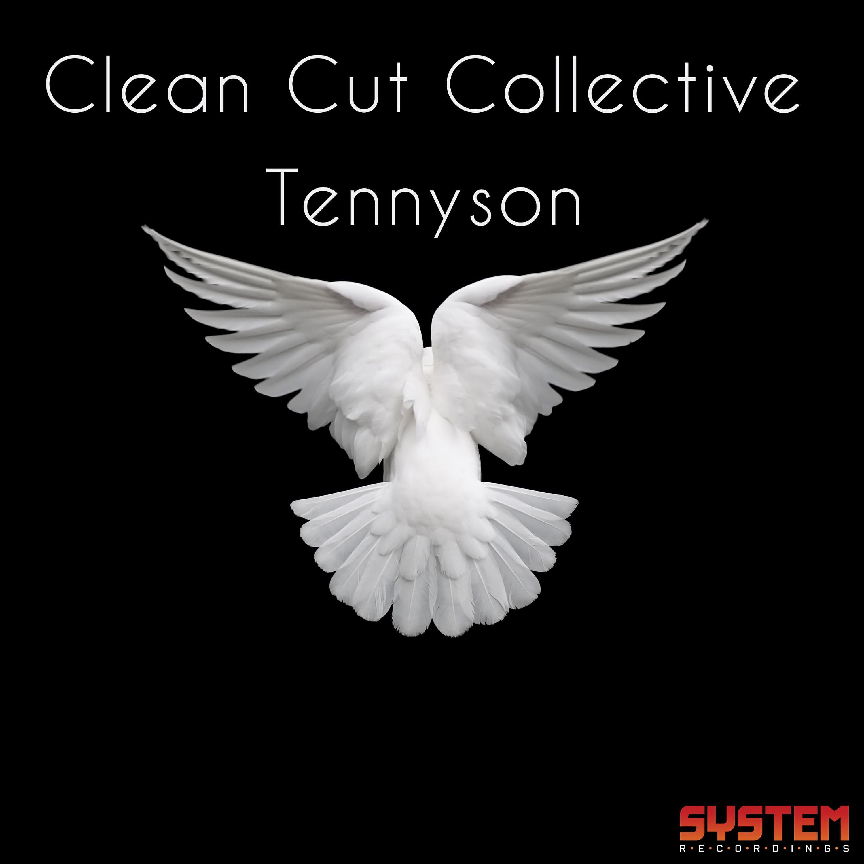 Clean Cut Collective - Tennyson (Dave Mono Remix)